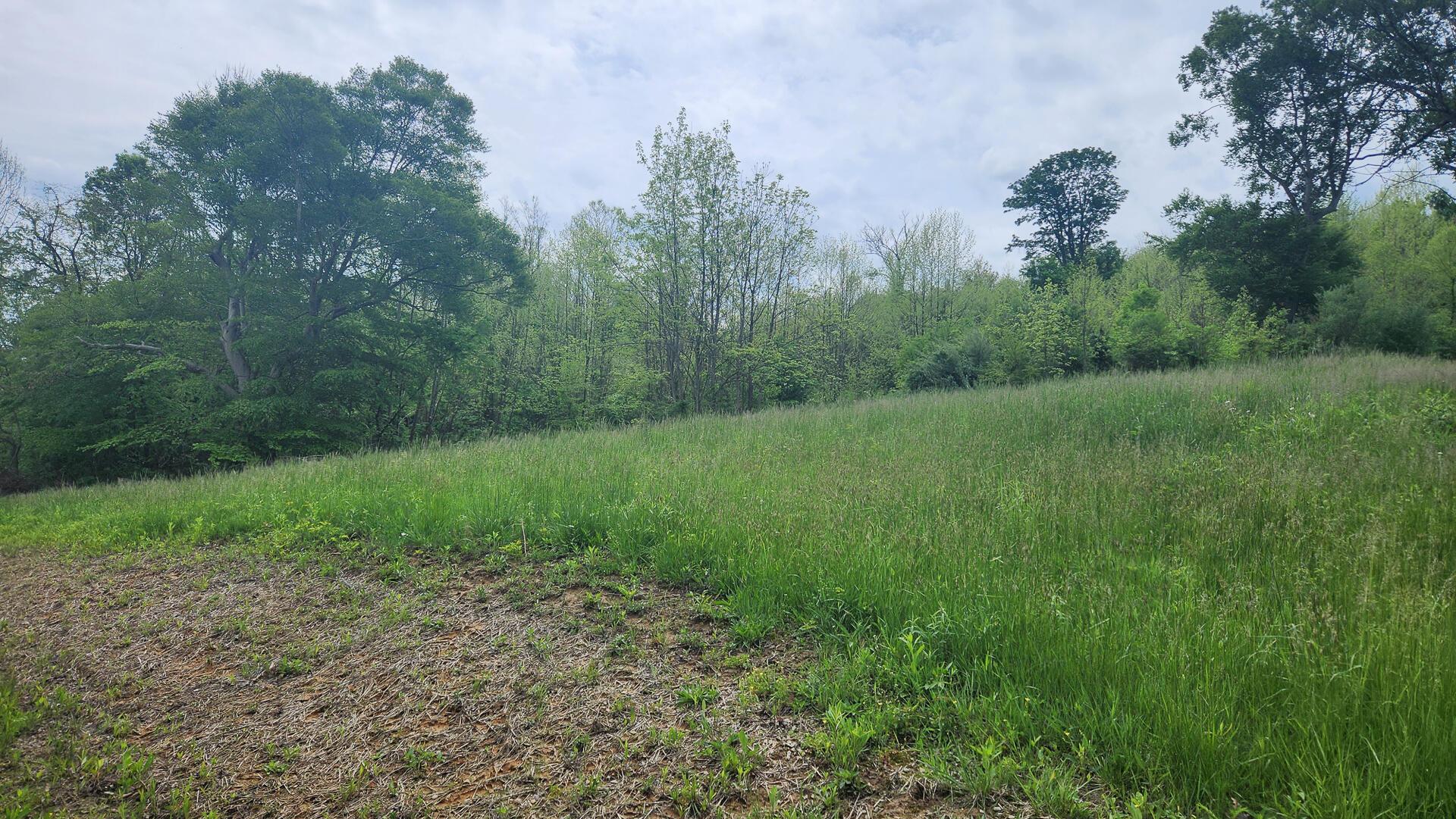 Sr 684 Road #TRACT 6 ALBANY WOODS, Albany, Ohio image 6