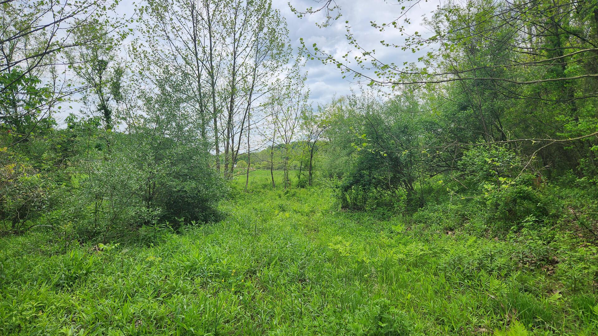 Sr 684 Road #TRACT 6 ALBANY WOODS, Albany, Ohio image 16