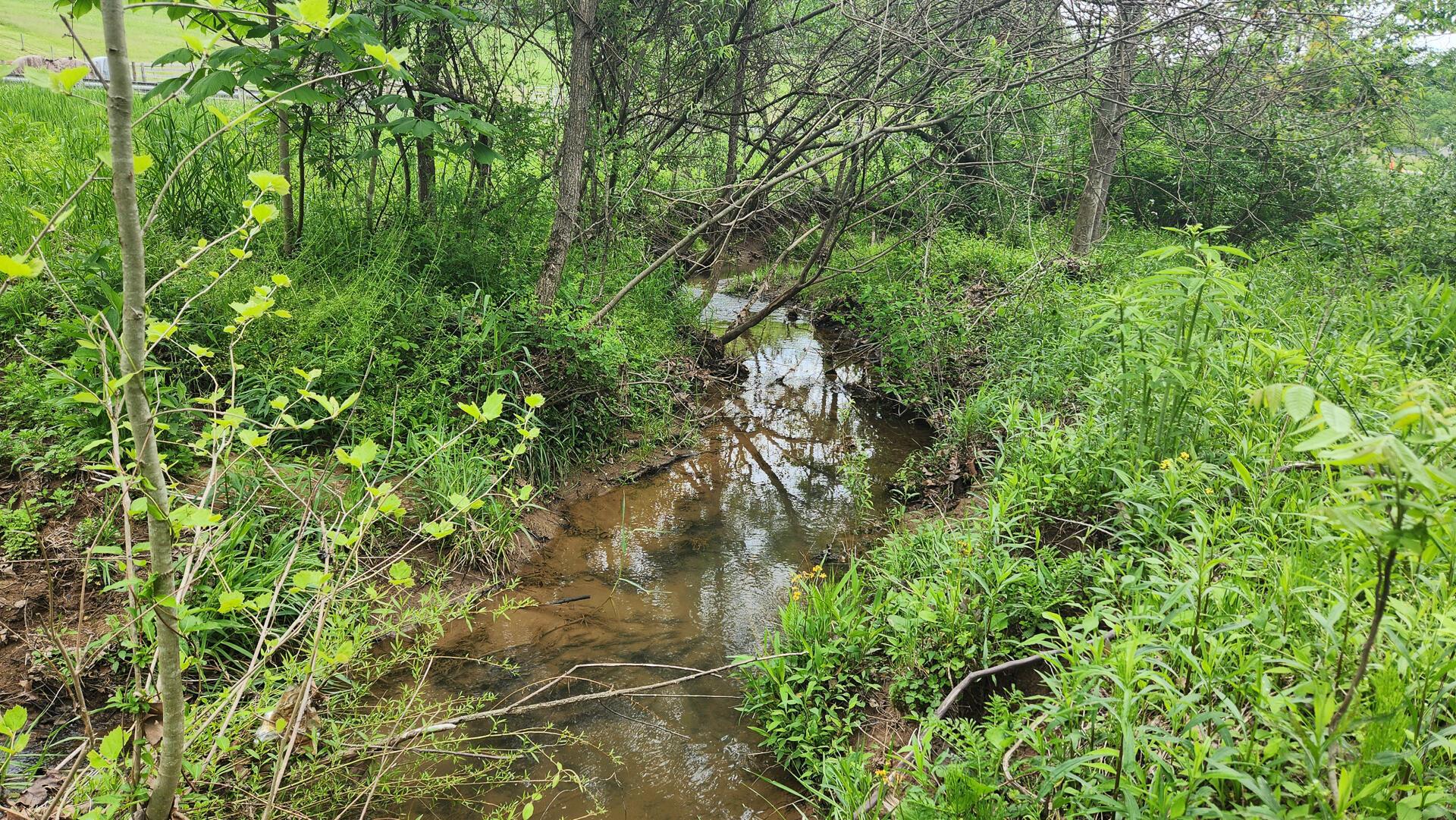 Sr 684 Road #TRACT 6 ALBANY WOODS, Albany, Ohio image 15