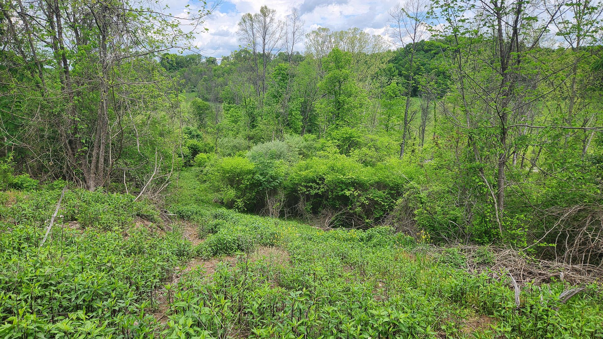 Sr 684 Road #TRACT 6 ALBANY WOODS, Albany, Ohio image 28