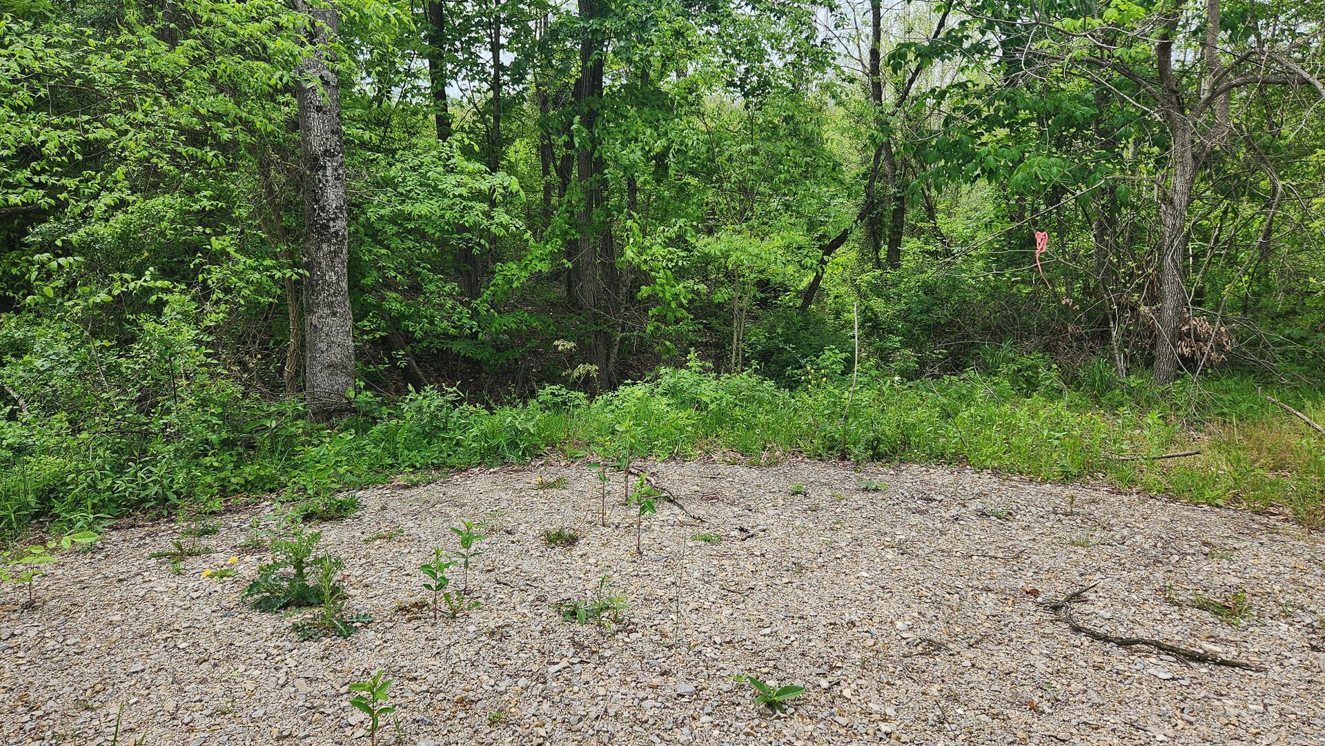 Sr 684 Road #TRACT 6 ALBANY WOODS, Albany, Ohio image 10