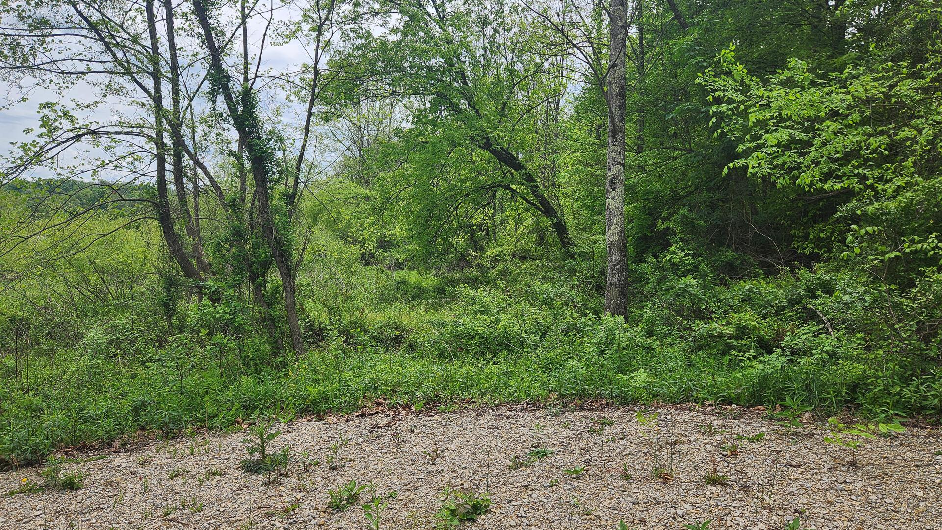 Sr 684 Road #TRACT 6 ALBANY WOODS, Albany, Ohio image 11