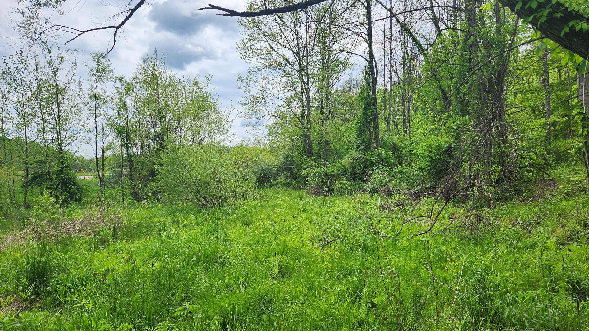 Sr 684 Road #TRACT 6 ALBANY WOODS, Albany, Ohio image 12