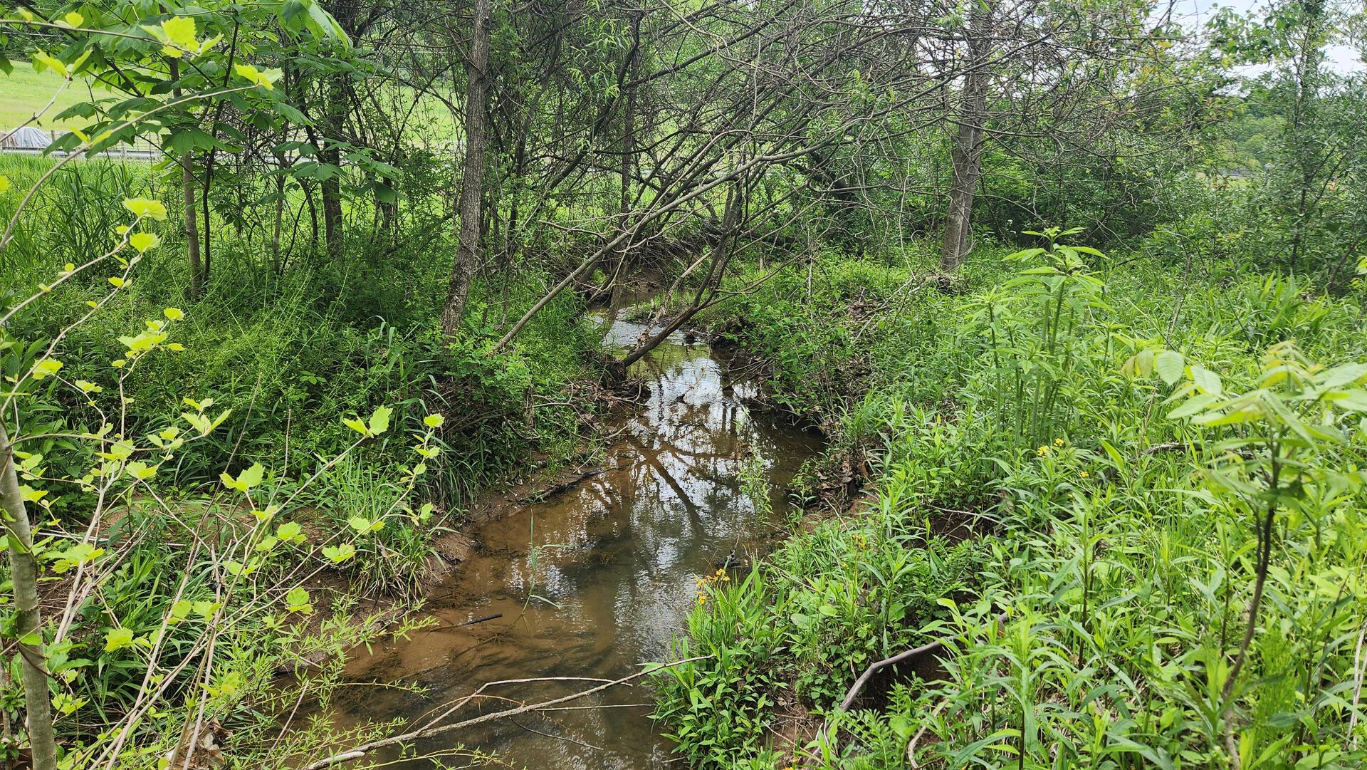 Sr 684 Road #TRACT 6 ALBANY WOODS, Albany, Ohio image 14