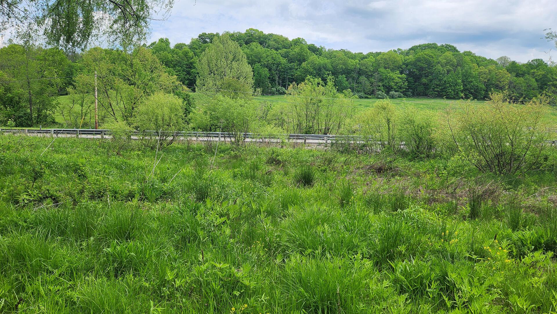 Sr 684 Road #TRACT 6 ALBANY WOODS, Albany, Ohio image 13