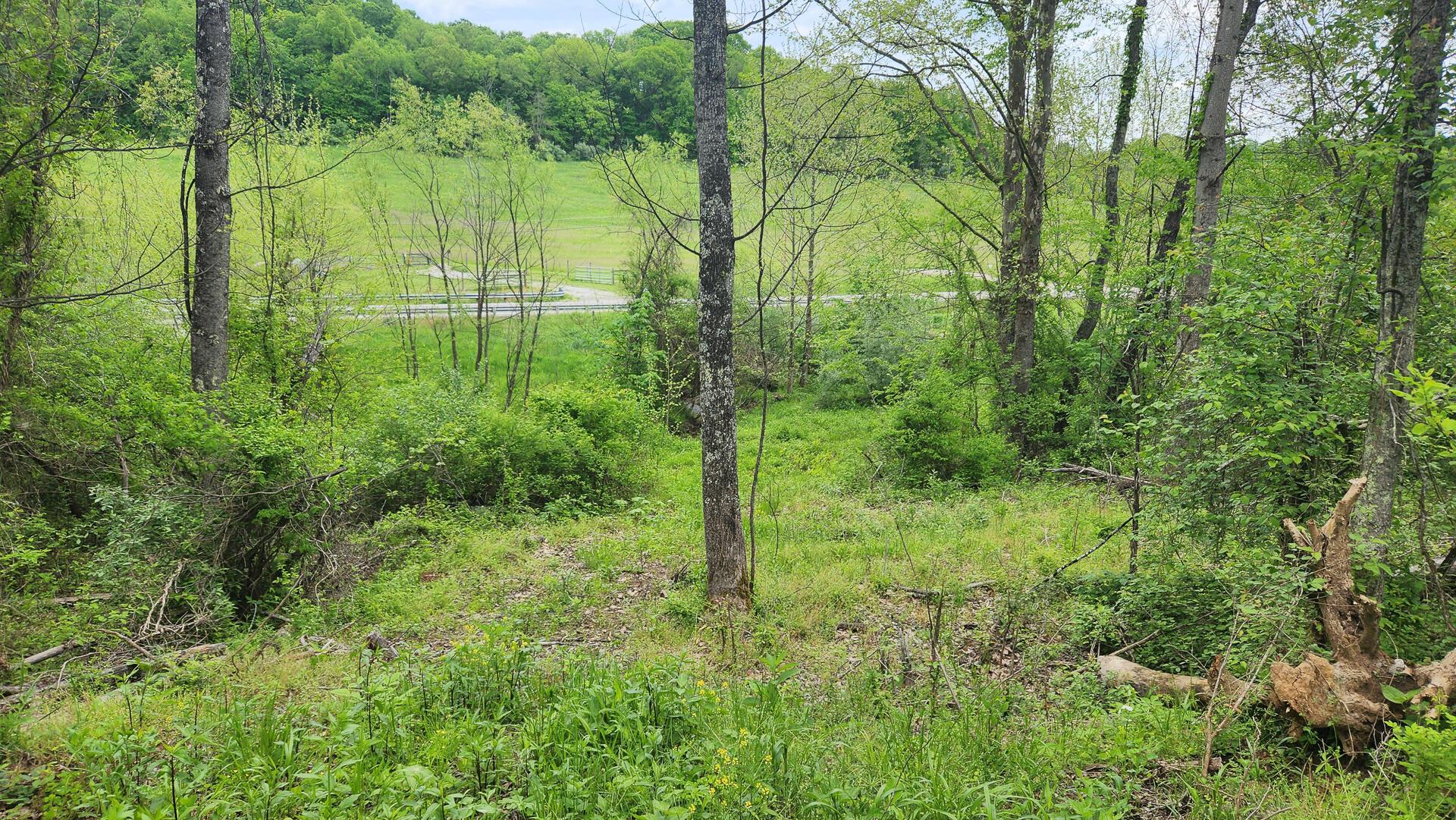 Sr 684 Road #TRACT 6 ALBANY WOODS, Albany, Ohio image 21