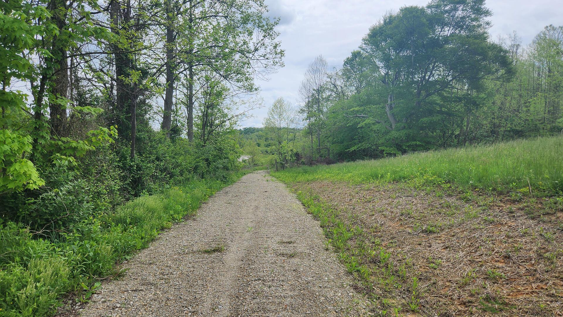 Sr 684 Road #TRACT 6 ALBANY WOODS, Albany, Ohio image 5