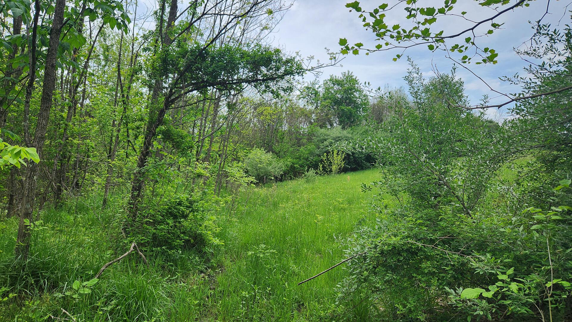 Sr 684 Road #TRACT 6 ALBANY WOODS, Albany, Ohio image 35