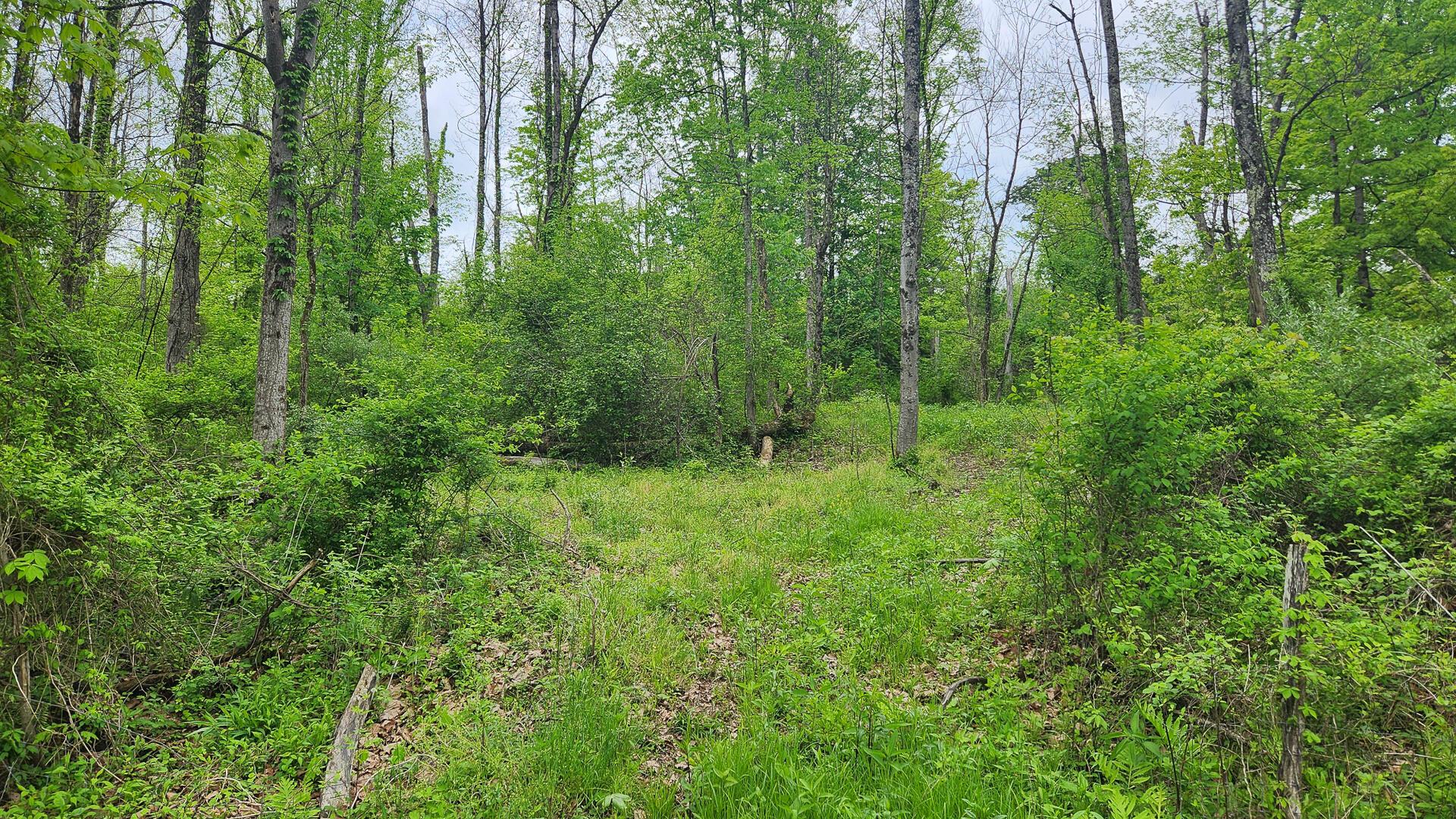 Sr 684 Road #TRACT 6 ALBANY WOODS, Albany, Ohio image 17
