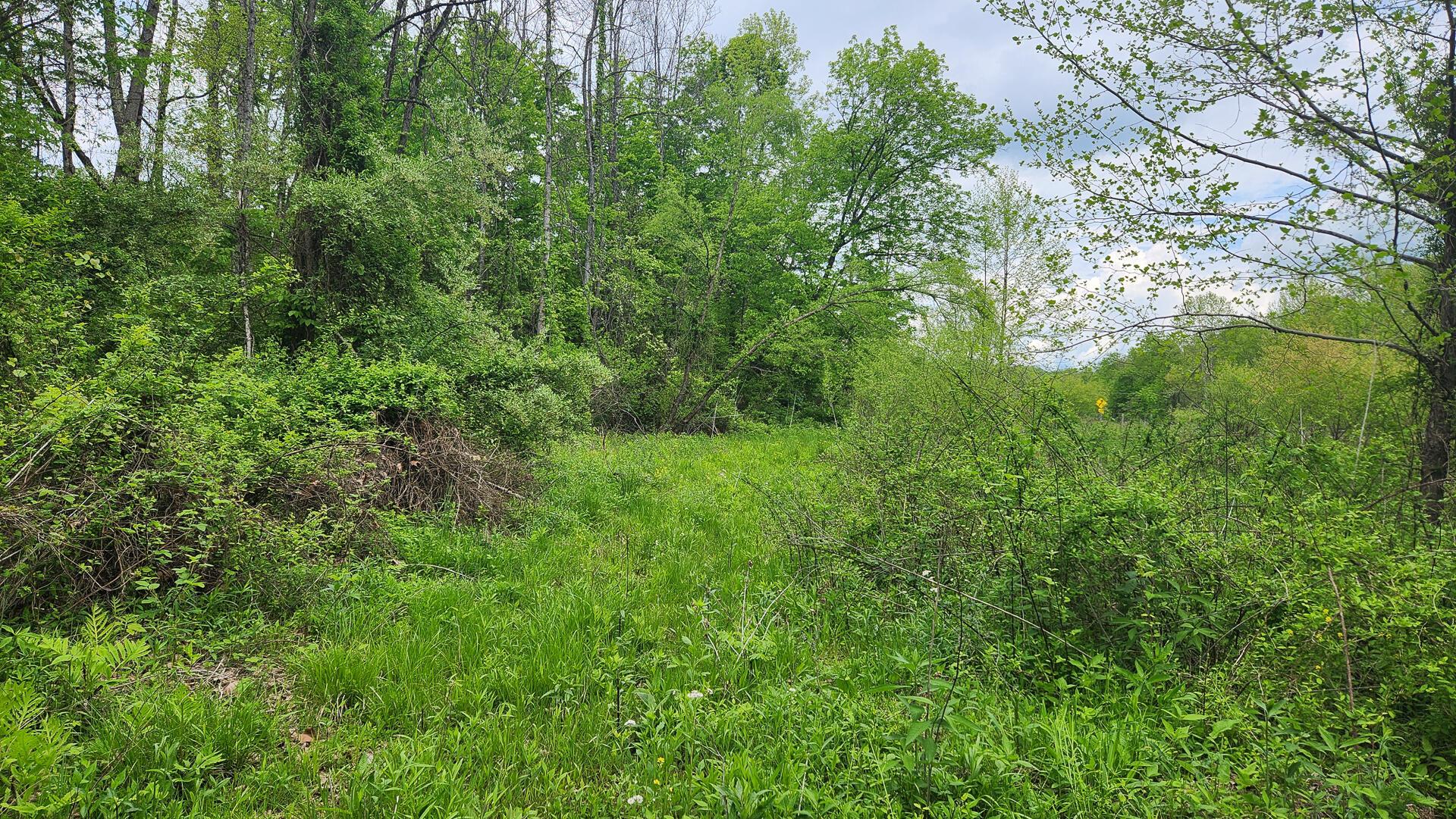 Sr 684 Road #TRACT 6 ALBANY WOODS, Albany, Ohio image 18