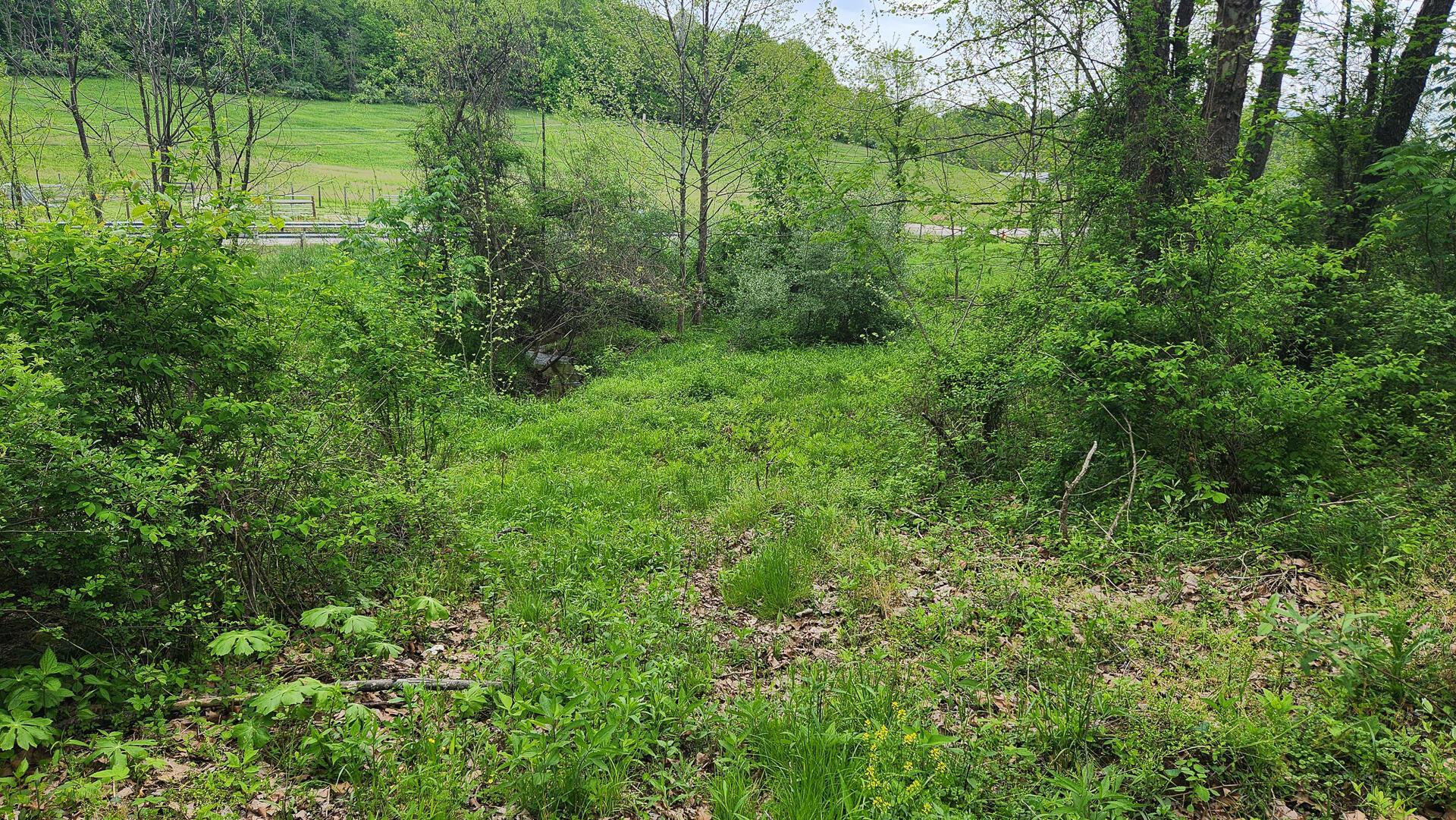 Sr 684 Road #TRACT 6 ALBANY WOODS, Albany, Ohio image 19