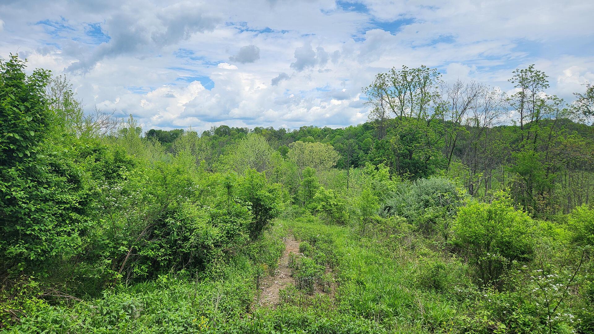 Sr 684 Road #TRACT 6 ALBANY WOODS, Albany, Ohio image 31