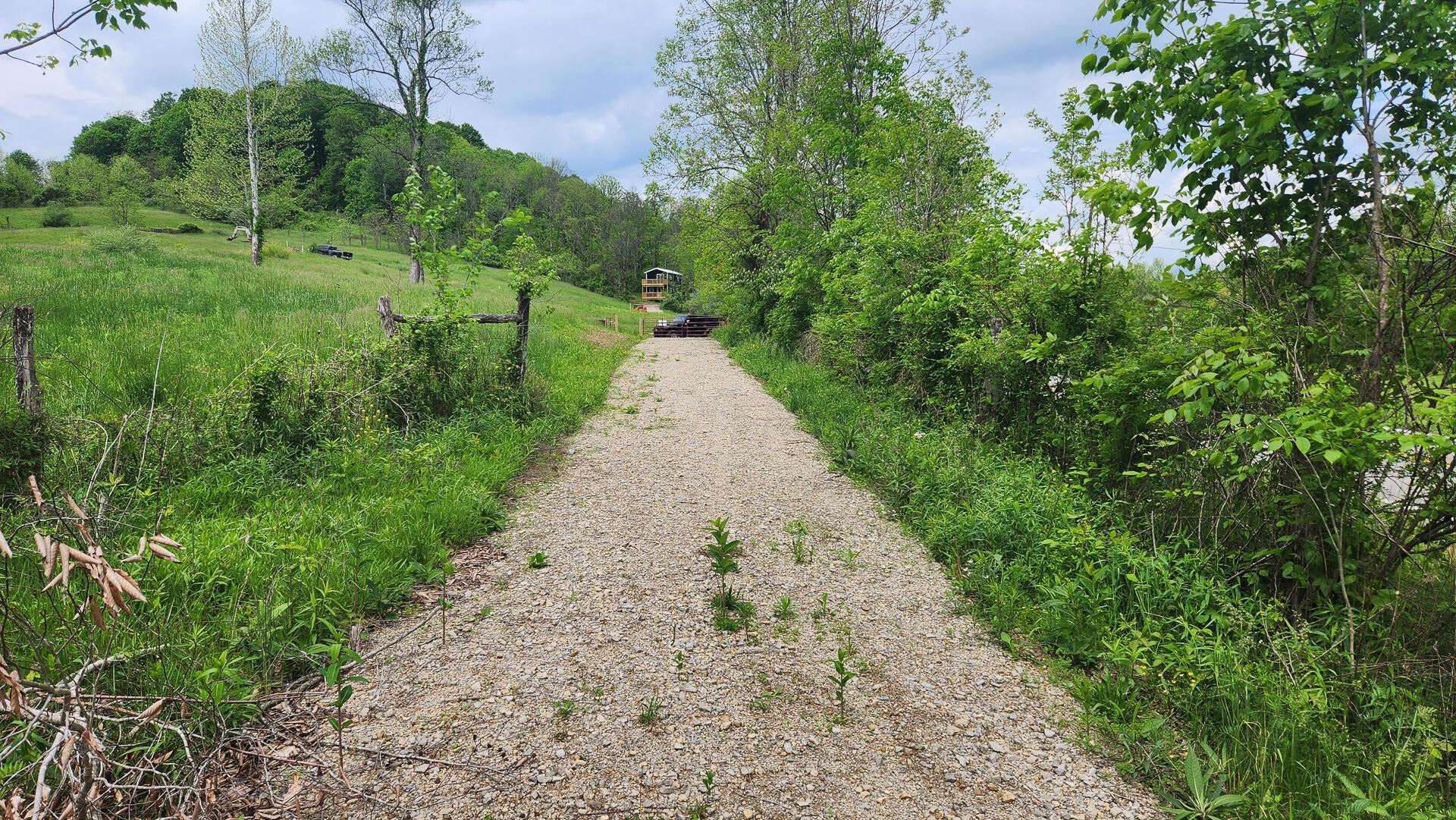 Sr 684 Road #TRACT 6 ALBANY WOODS, Albany, Ohio image 8
