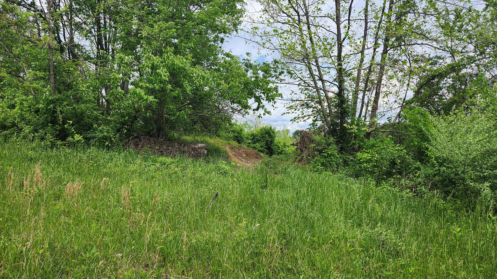 Sr 684 Road #TRACT 6 ALBANY WOODS, Albany, Ohio image 33
