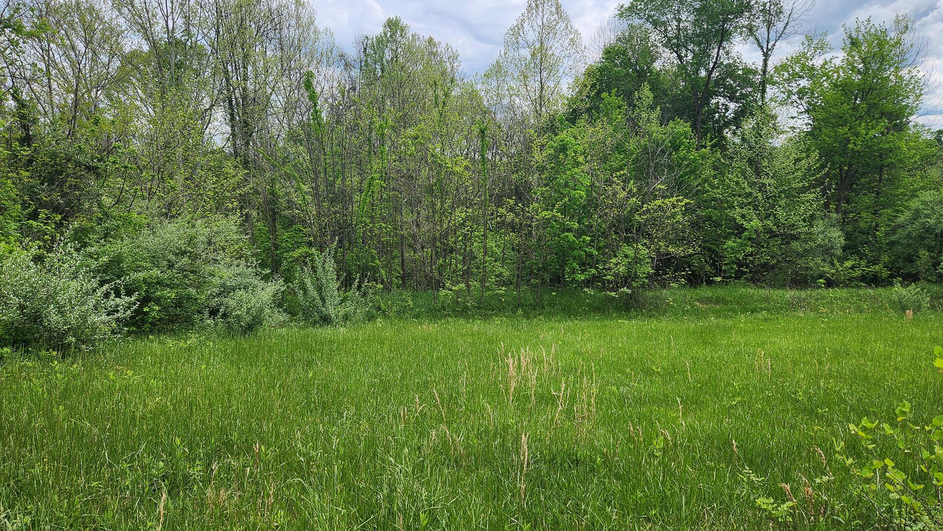 Sr 684 Road #TRACT 6 ALBANY WOODS, Albany, Ohio image 34