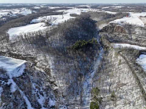 Vacant Land For Sale - 0 TRACT 2 Morris Ridge Road<br/> Woodsfield, OH 43793