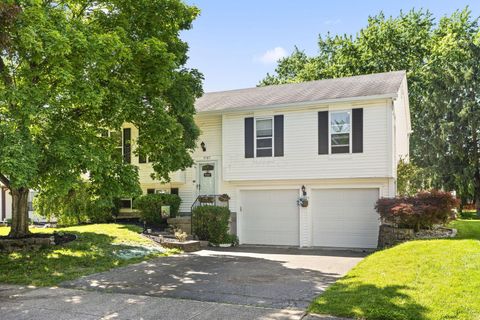 Photo of 3767 Bridle Court, Columbus, OH 43221 (MLS # 226020093)