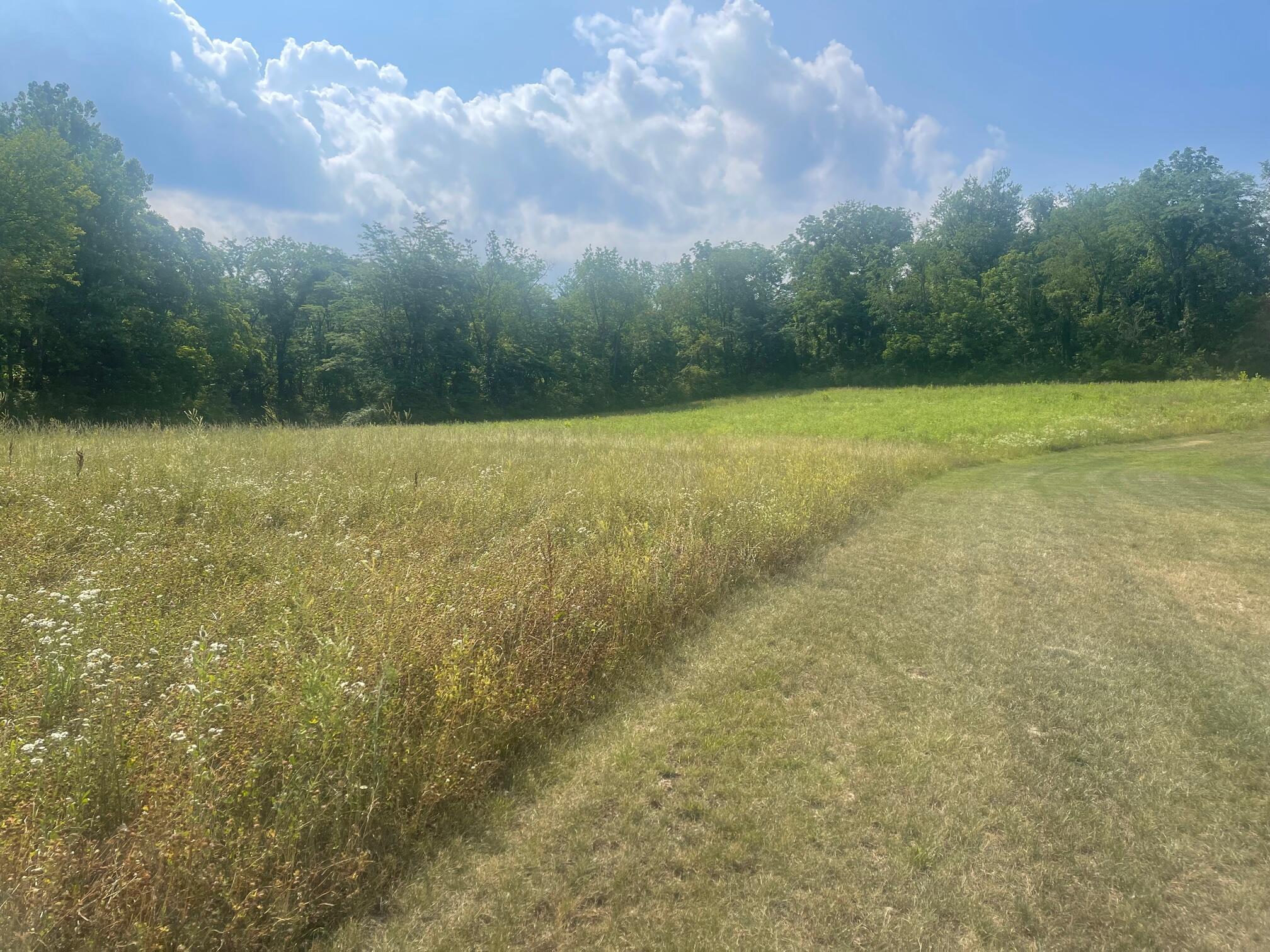 Northpointe Drive Drive #3.39 ACRES, Zanesville, Ohio image 5