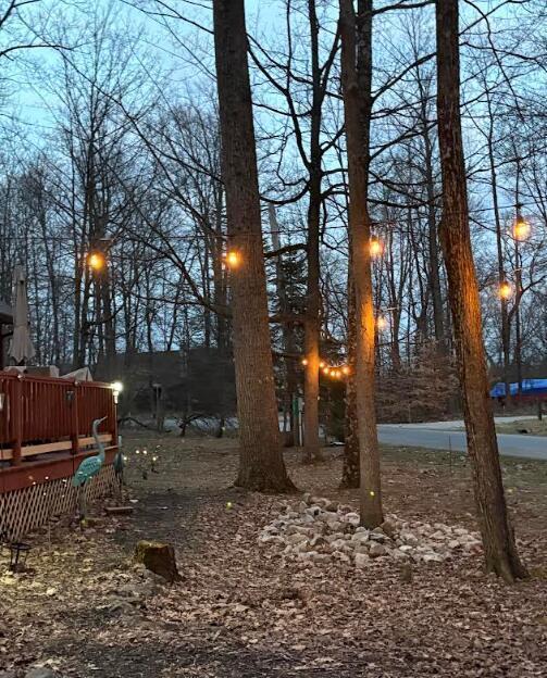 7326 State Route 19 #UNIT 2, LOT 321, Mount Gilead, Ohio image 13