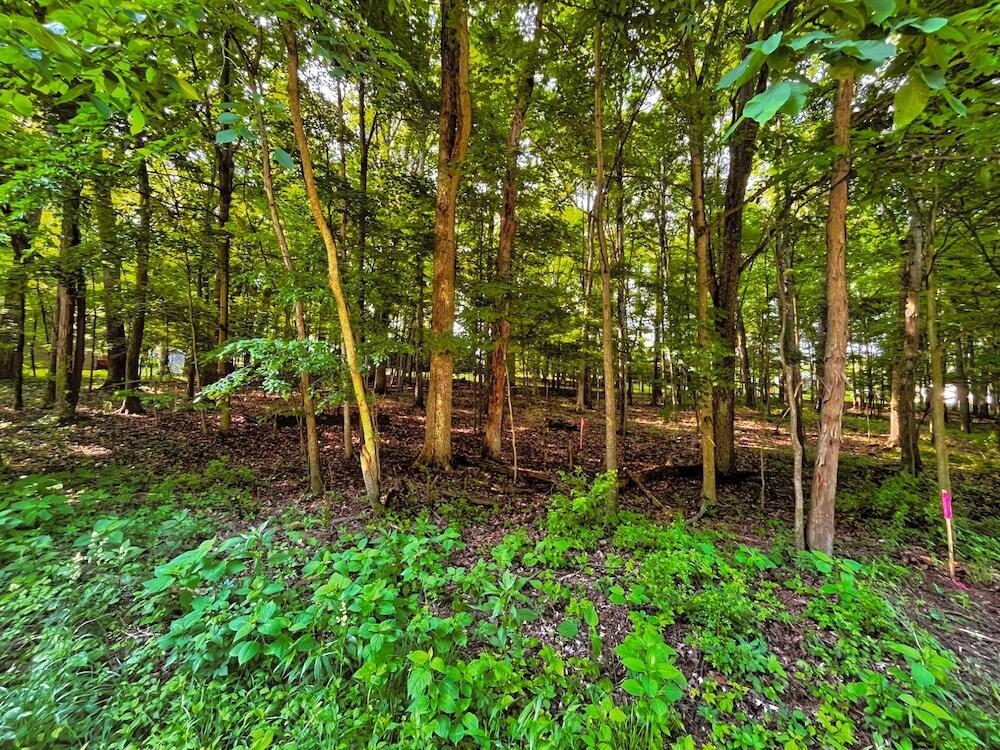 399 Valleyridge Drive, Howard, Ohio image 1