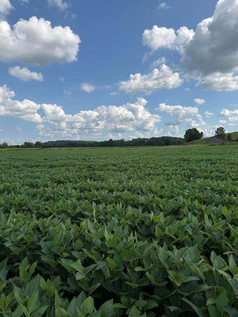 Photo of 0 Mt. Zwingli Road SE Lot B #Lot B, Bremen, OH 43107 (MLS # 226031841)