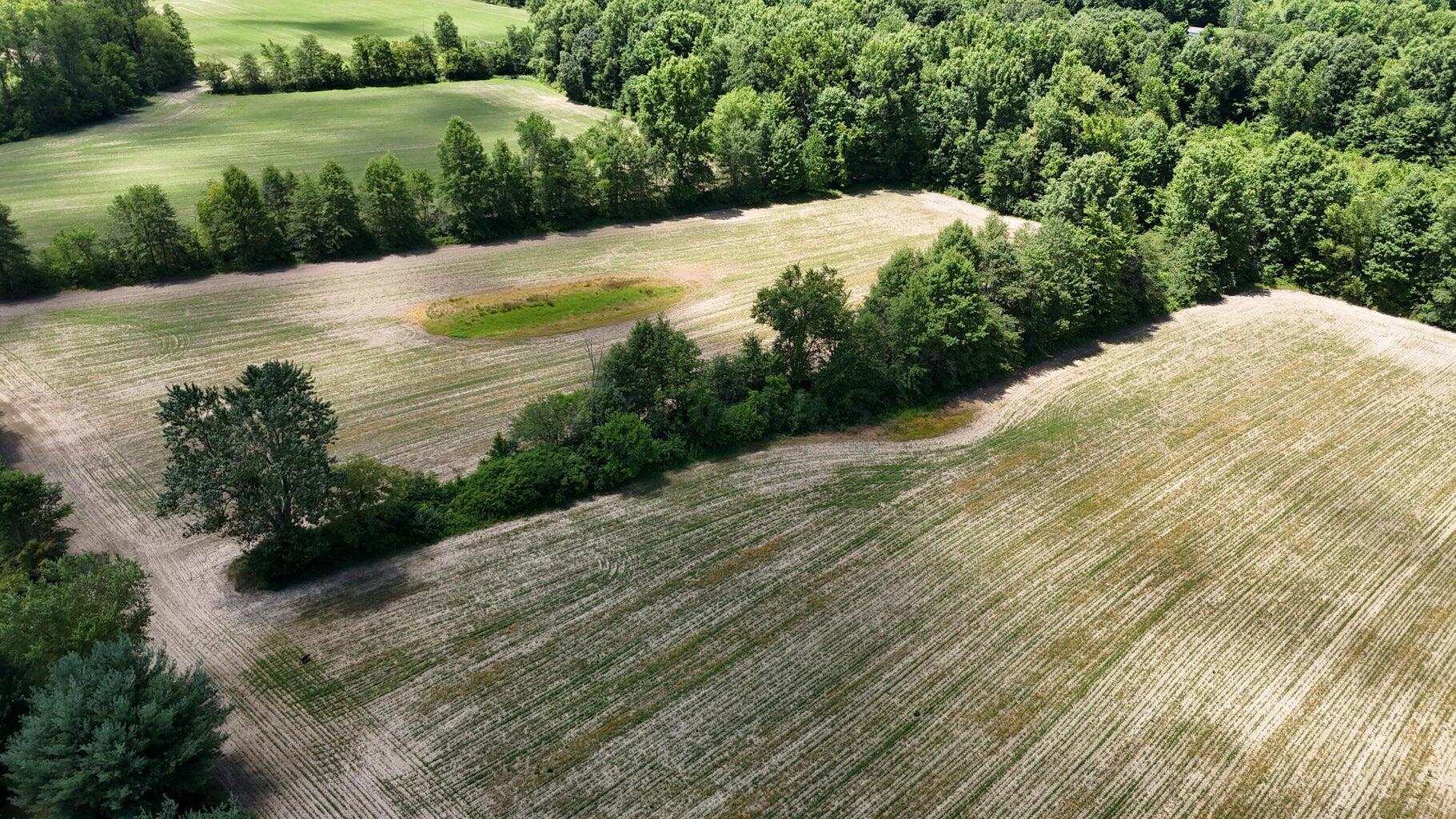 Burnt Pond Road, Ostrander, Ohio image 8