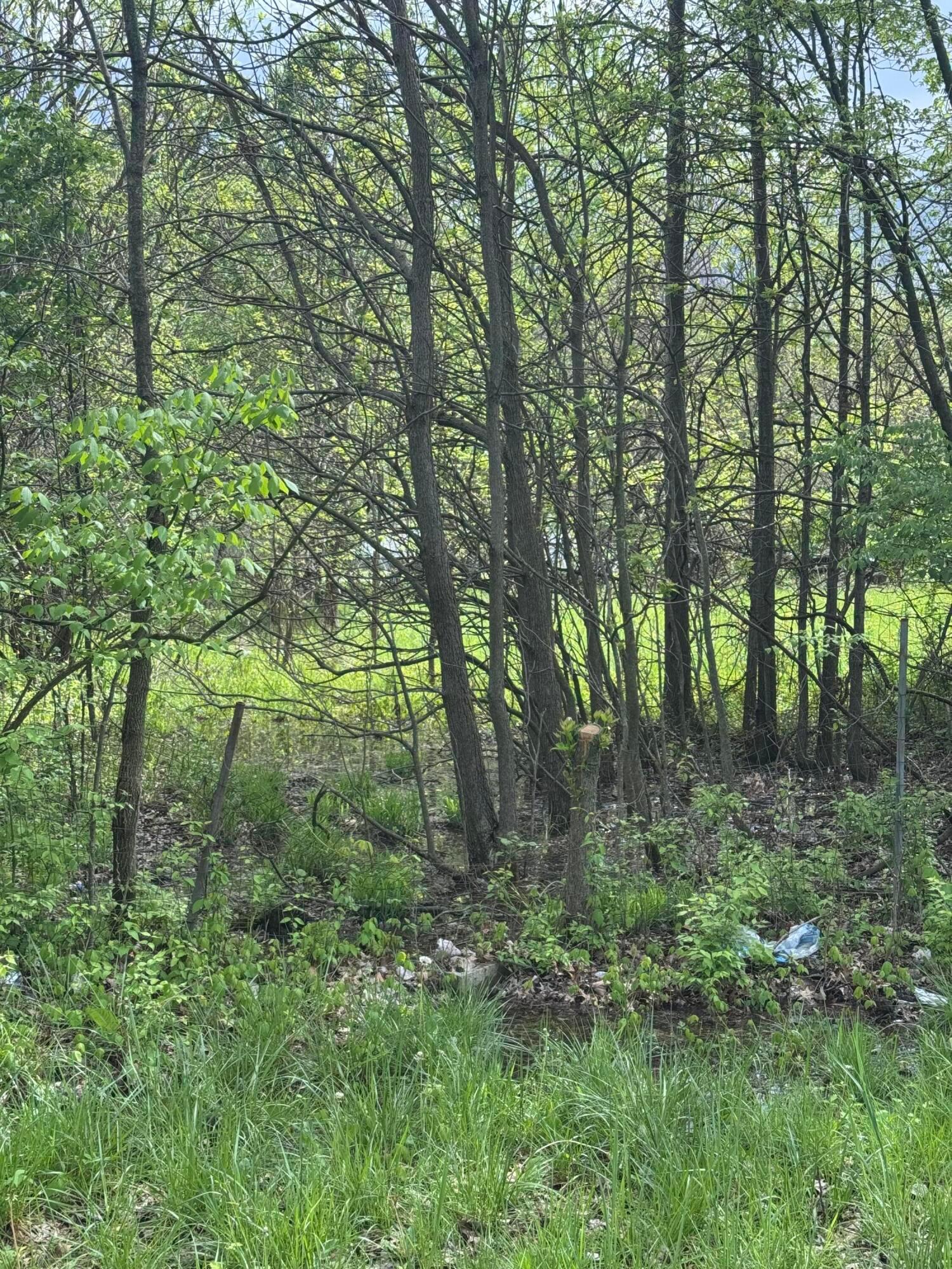 Milford Avenue #LOT 36, Columbus, Ohio image 1