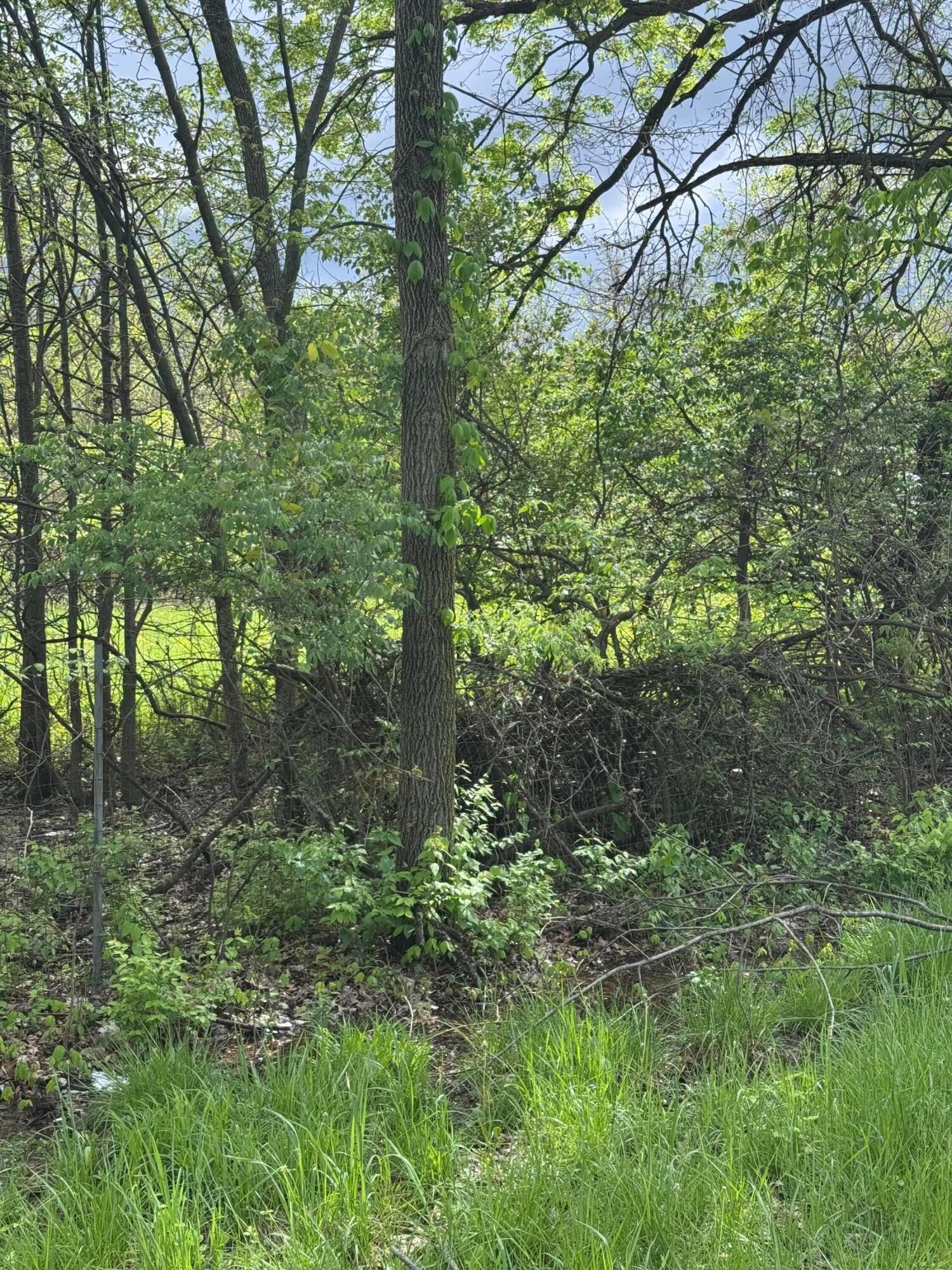 Milford Avenue #LOT 36, Columbus, Ohio image 2