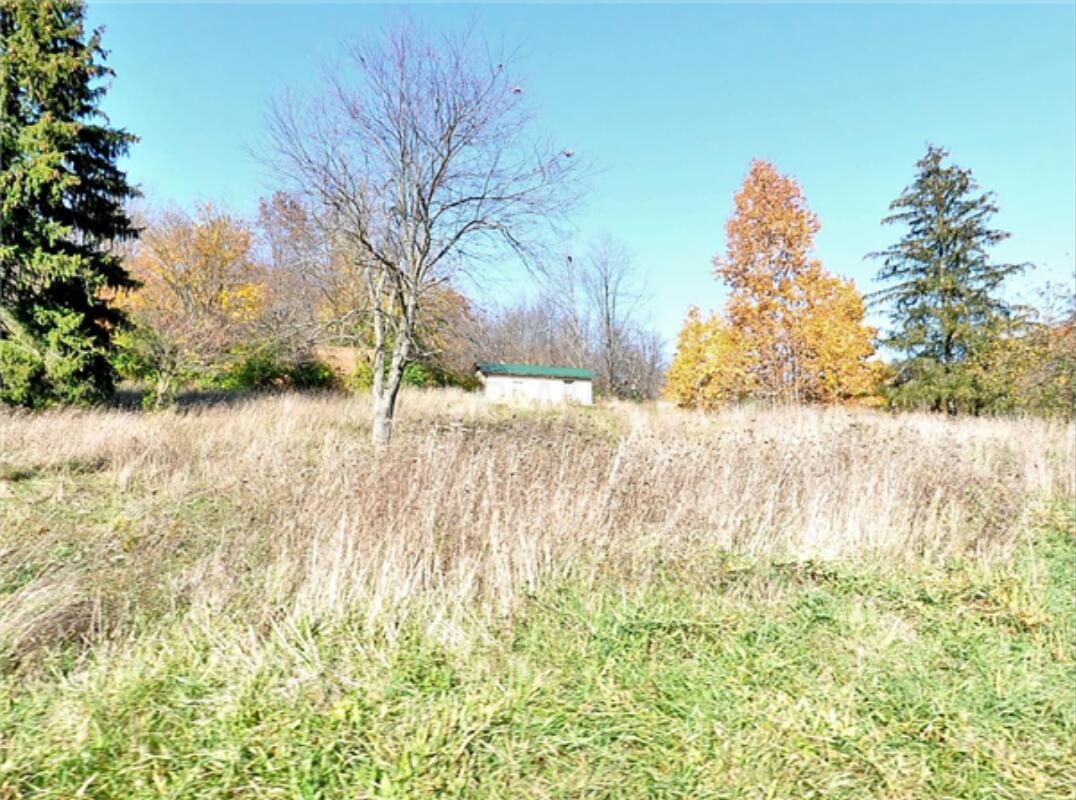 8175 Loches Road, Saint Louisville, Ohio image 3