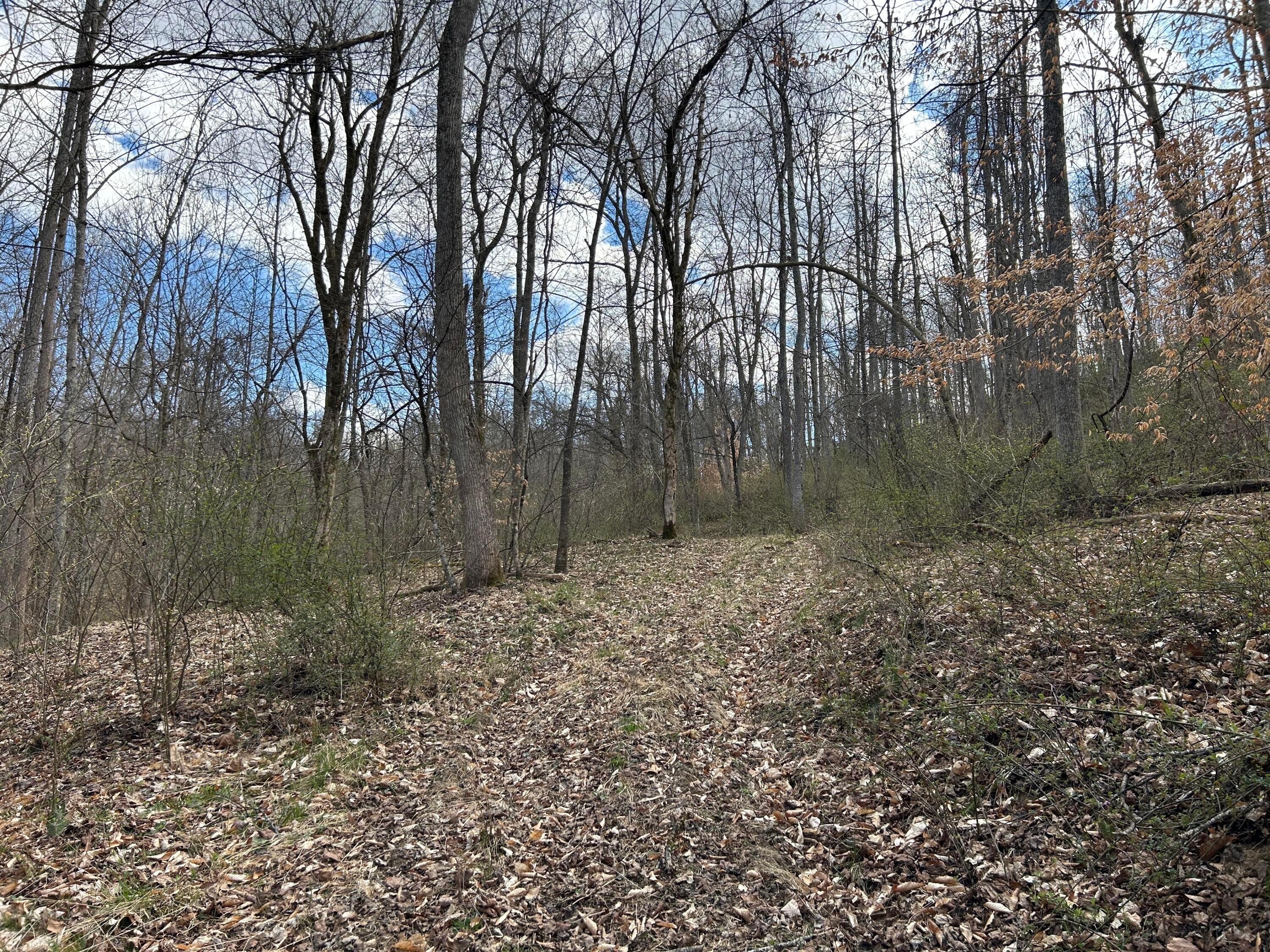Cr-73 / Federal Creek Road, Crown City, Ohio image 6