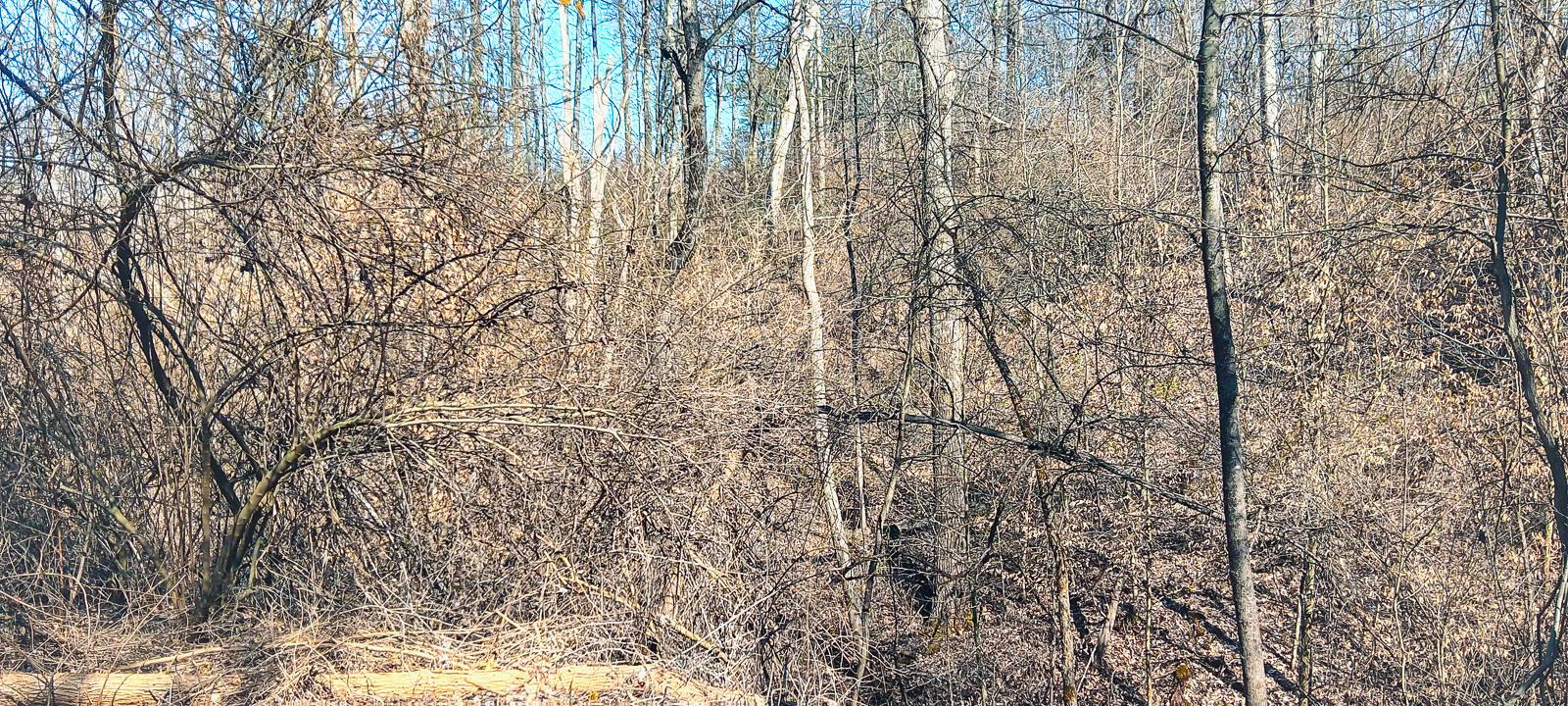 Township Road 128 #TURKEY RUN TRACT 3, New Lexington, Ohio image 32