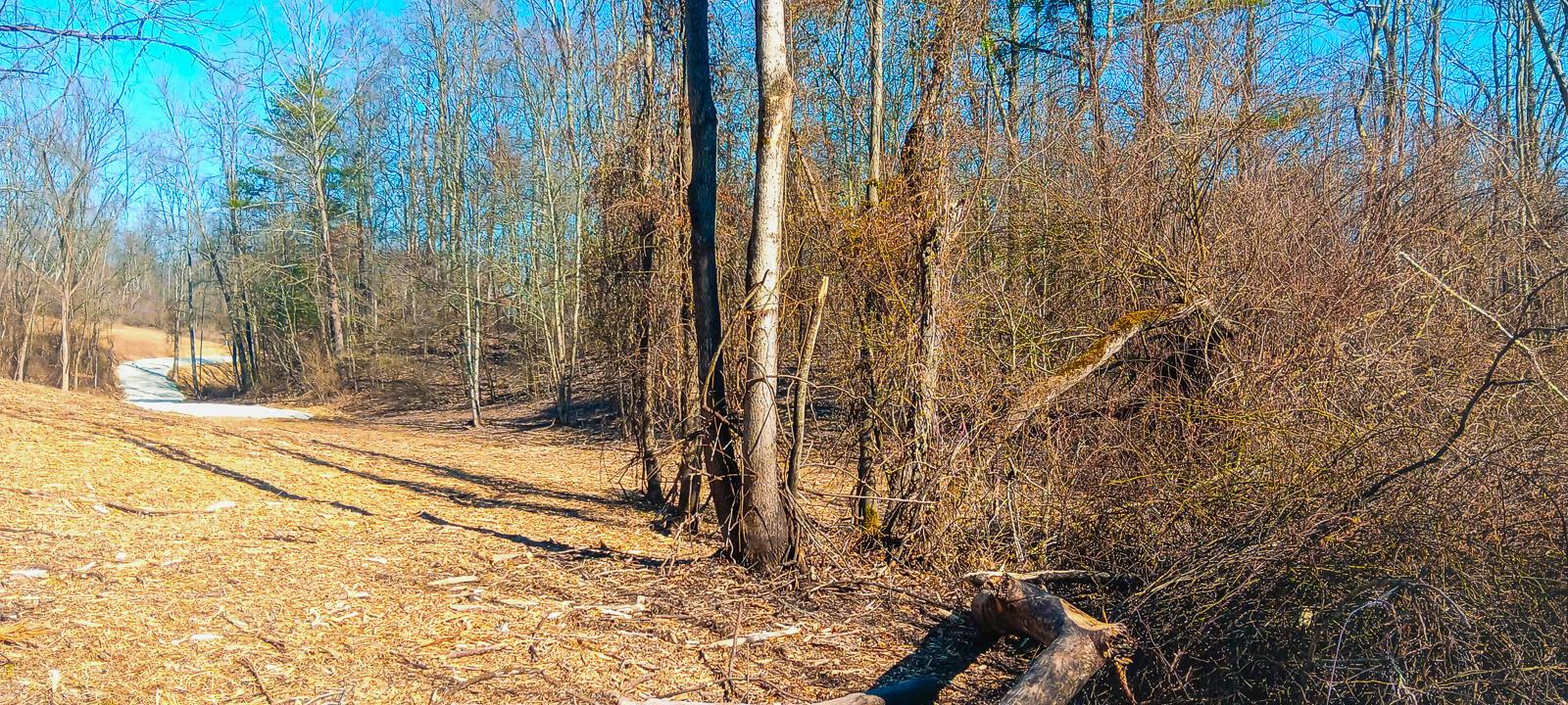 Township Road 128 #TURKEY RUN TRACT 3, New Lexington, Ohio image 20