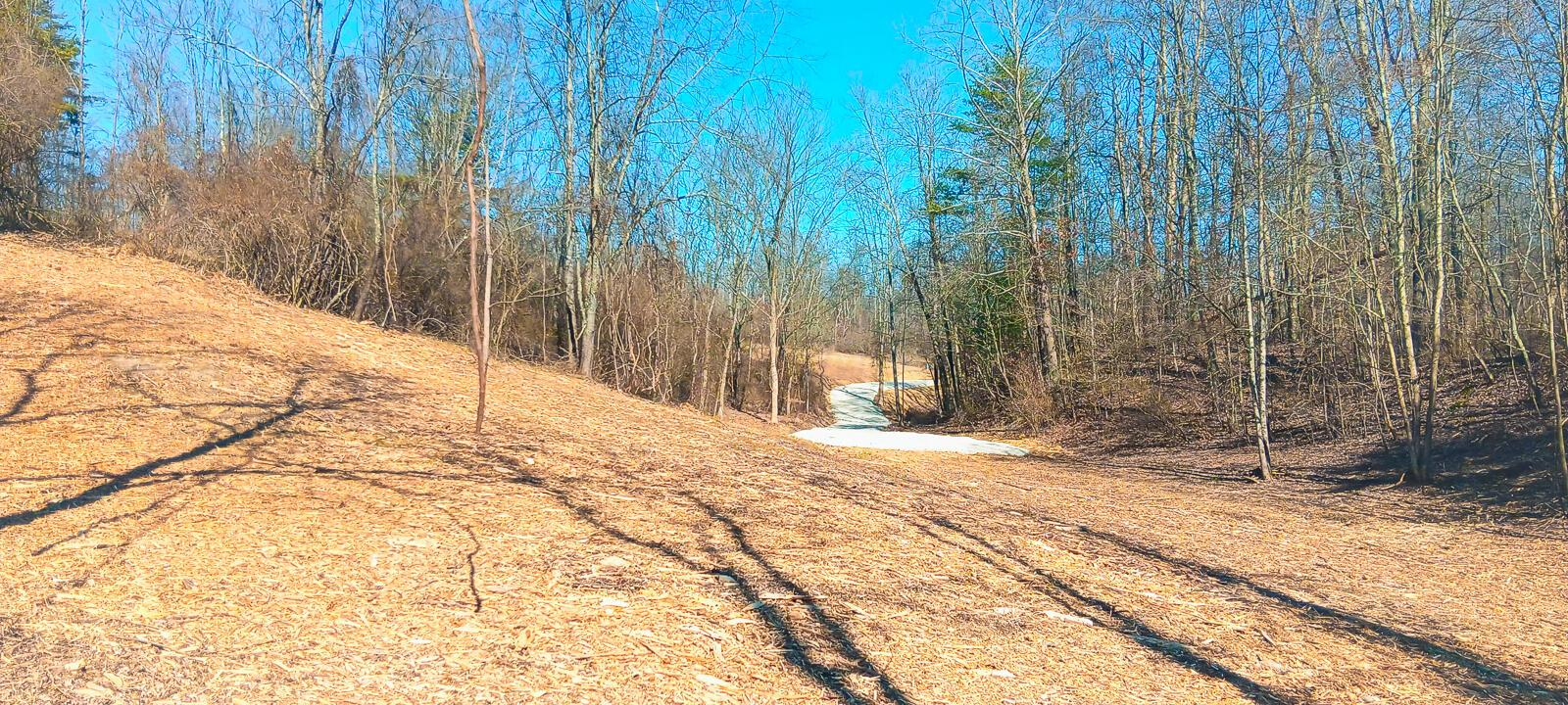Township Road 128 #TURKEY RUN TRACT 3, New Lexington, Ohio image 22