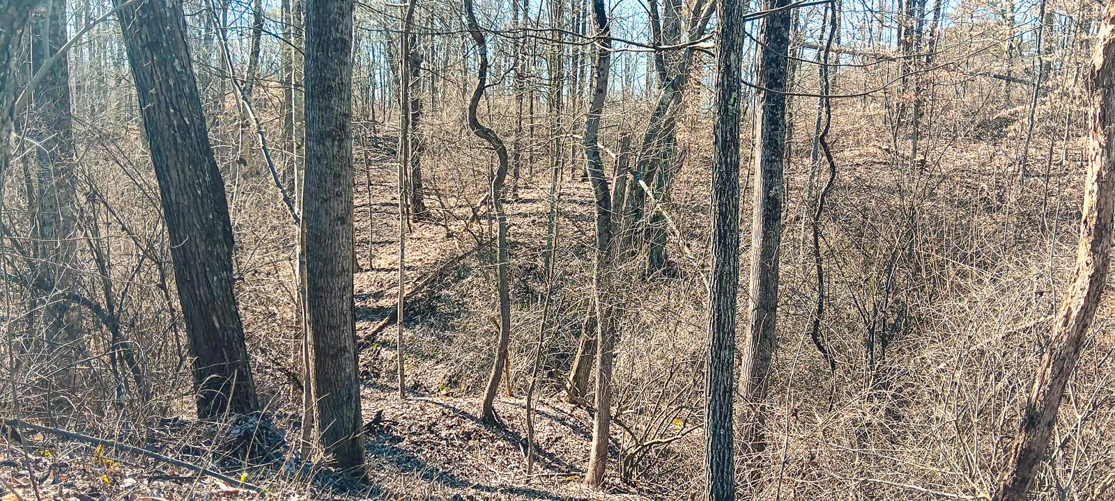 Township Road 128 #TURKEY RUN TRACT 3, New Lexington, Ohio image 33