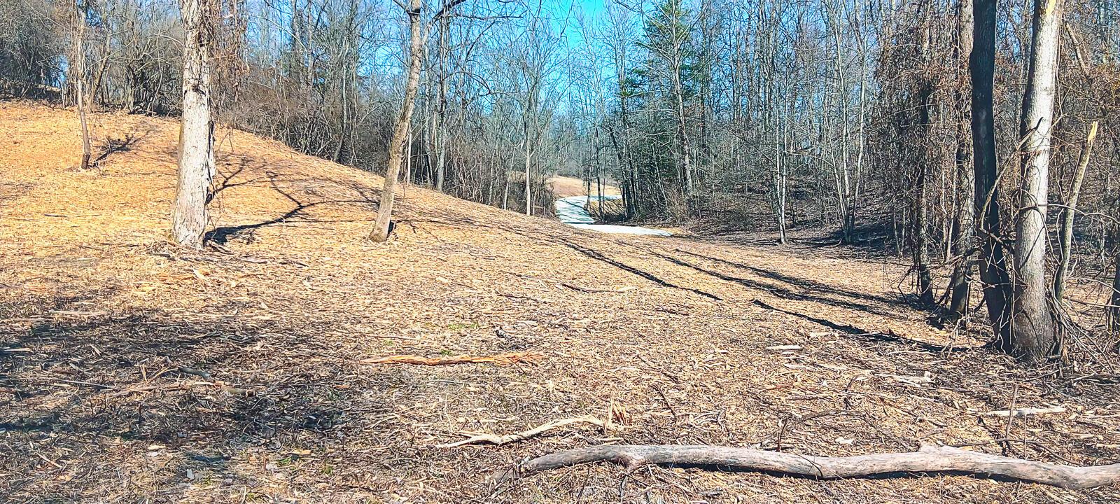 Township Road 128 #TURKEY RUN TRACT 3, New Lexington, Ohio image 16