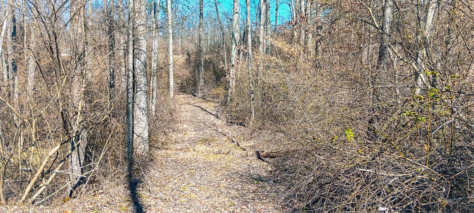 Township Road 128 #TURKEY RUN TRACT 3, New Lexington, Ohio image 34