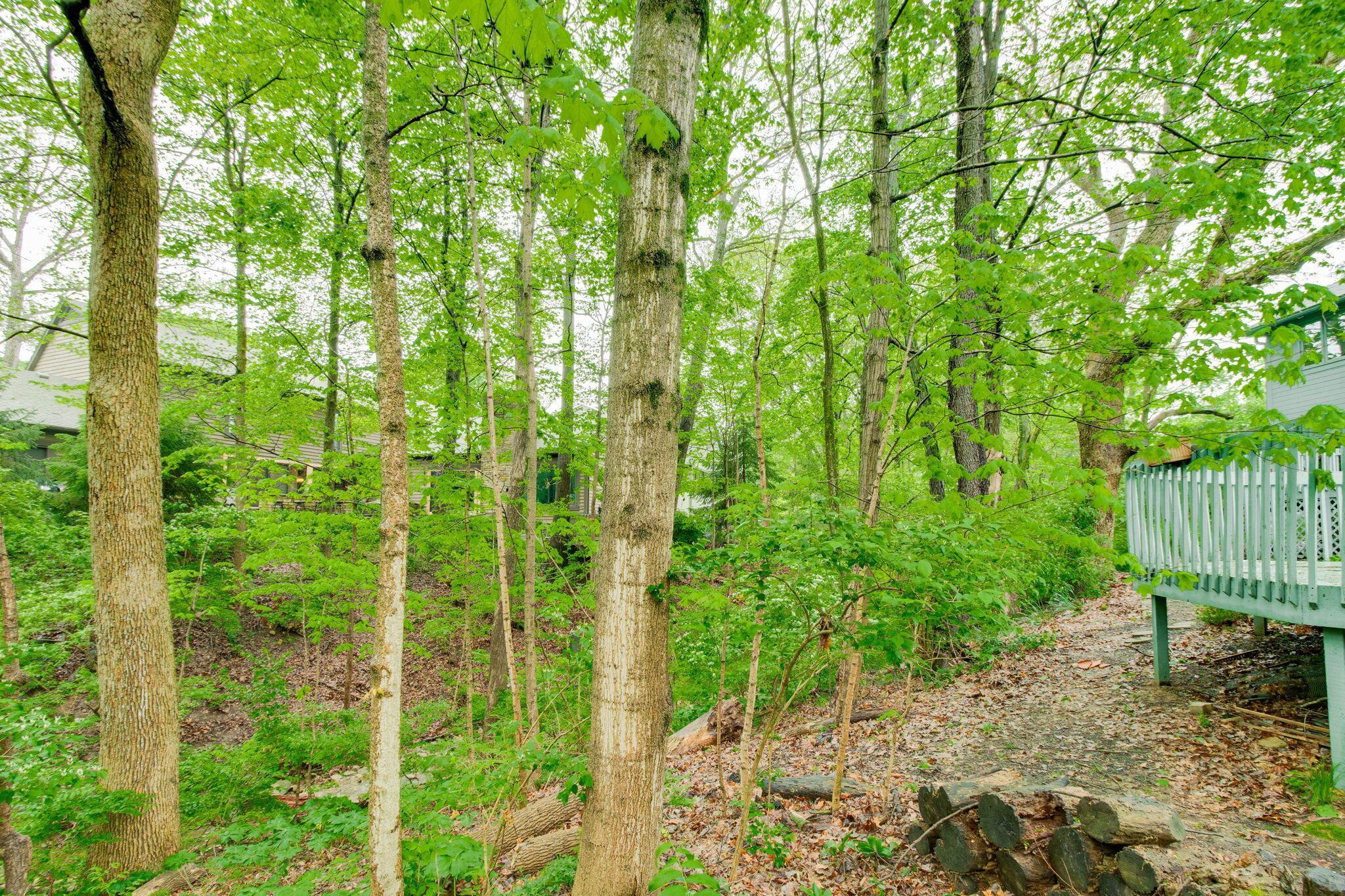 4797 Inisheer Court, Dublin, Ohio image 38