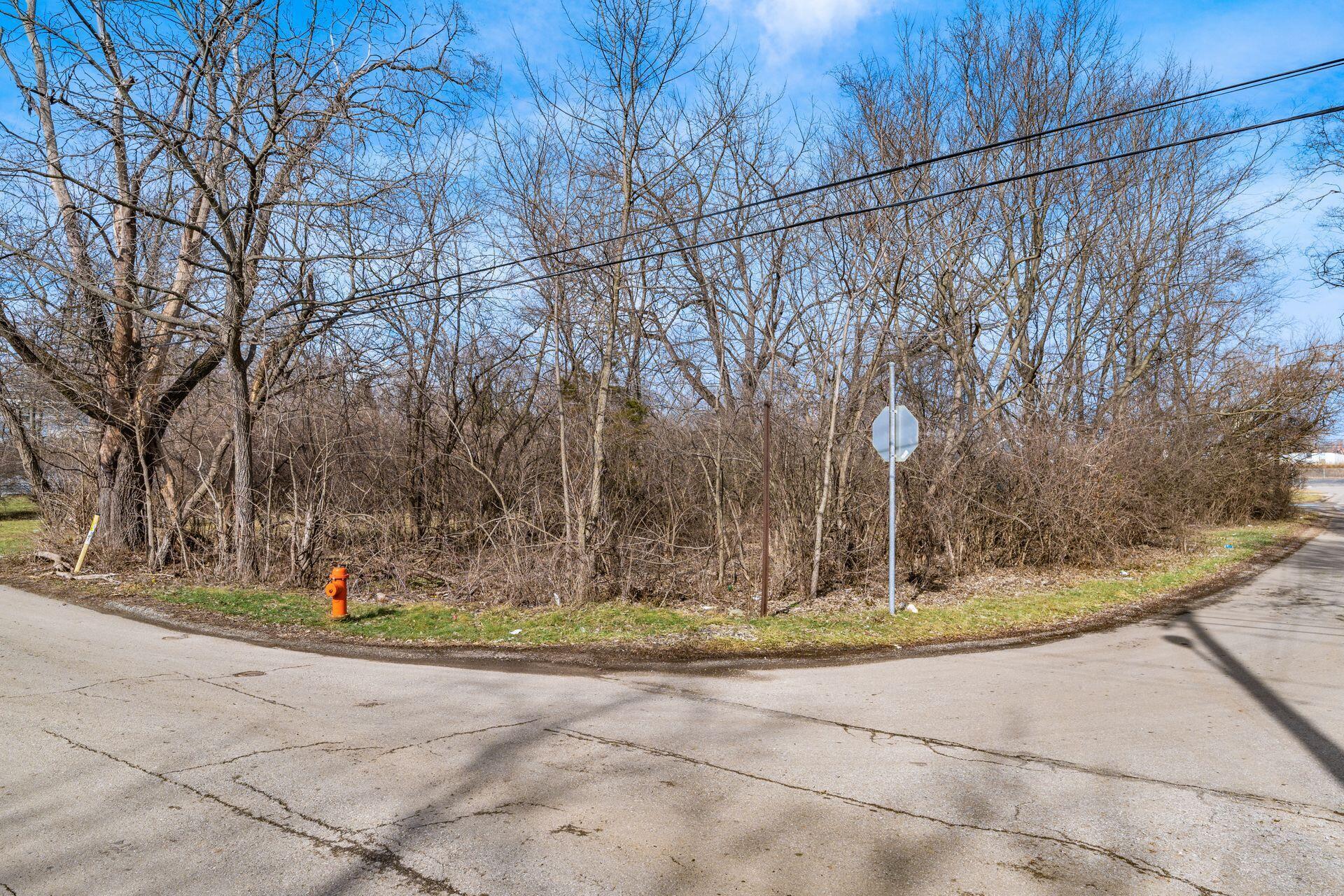 Elwood Avenue #LOT 105, Columbus, Ohio image 3