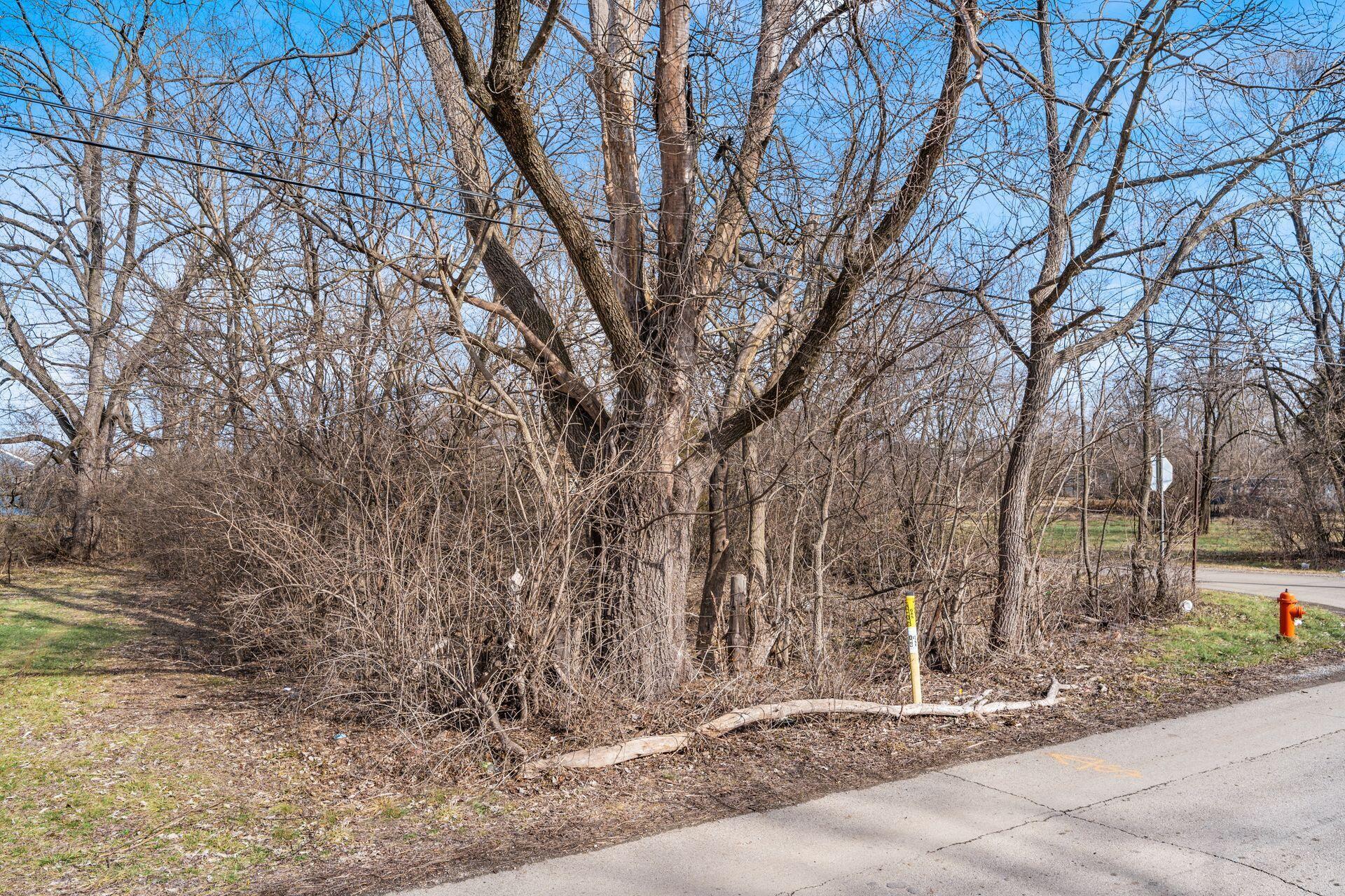 Elwood Avenue #LOT 105, Columbus, Ohio image 5