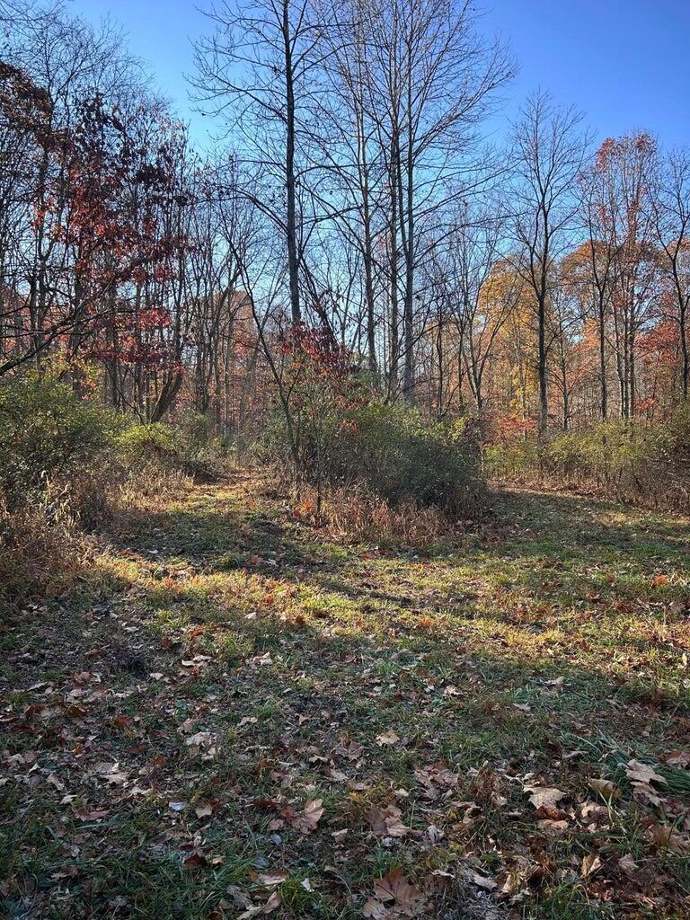 4775 Township Road 226, Shawnee, Ohio image 11