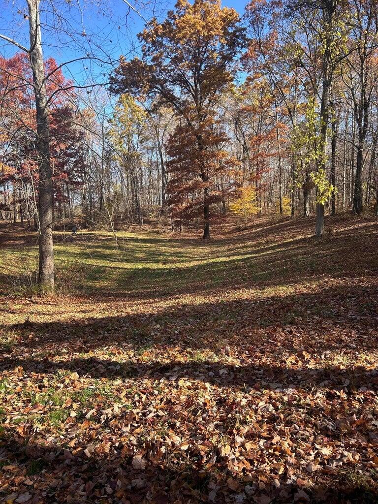 4775 Township Road 226, Shawnee, Ohio image 13