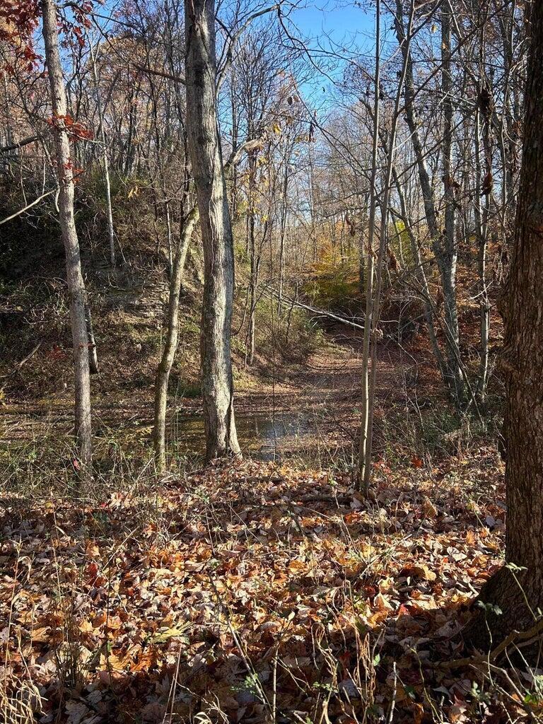 4775 Township Road 226, Shawnee, Ohio image 26