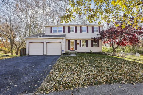 Photo of 1635 Tendril Court, Columbus, OH 43229 (MLS # 225044075)