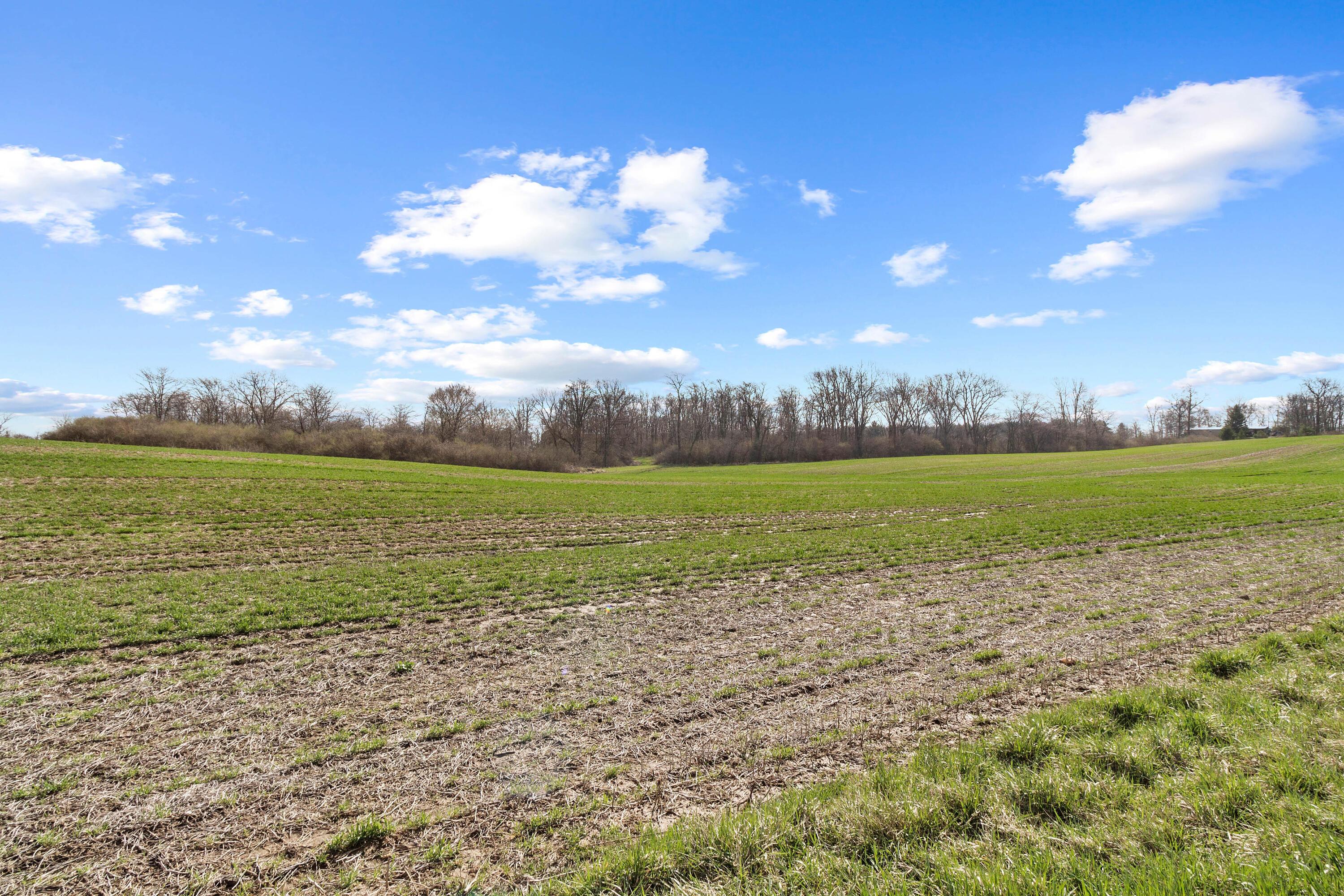 Cox Rd. Lot 4, North Lewisburg, Ohio image 2