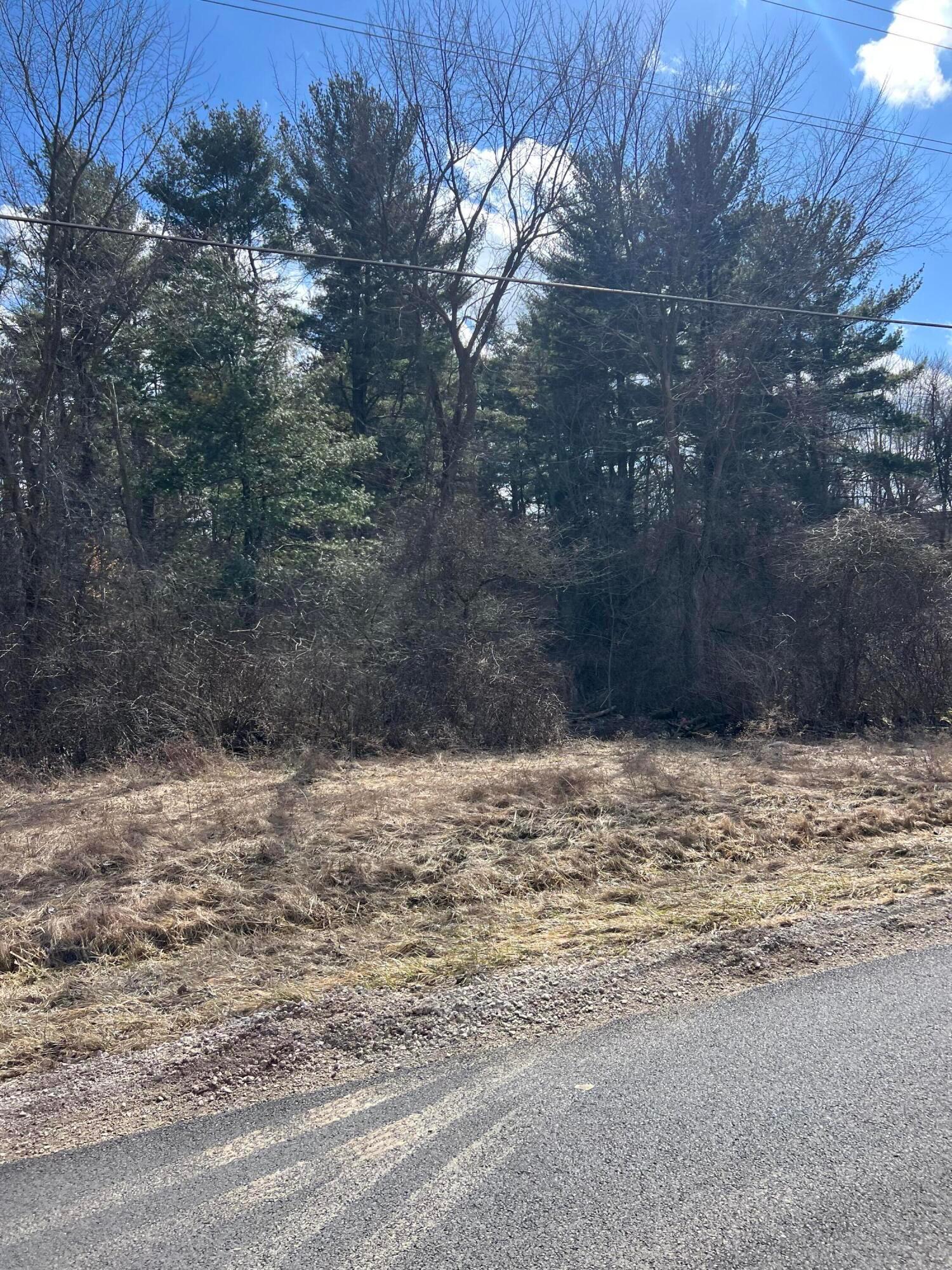 6288 County Road 25 #LOT 1, Cardington, Ohio image 4