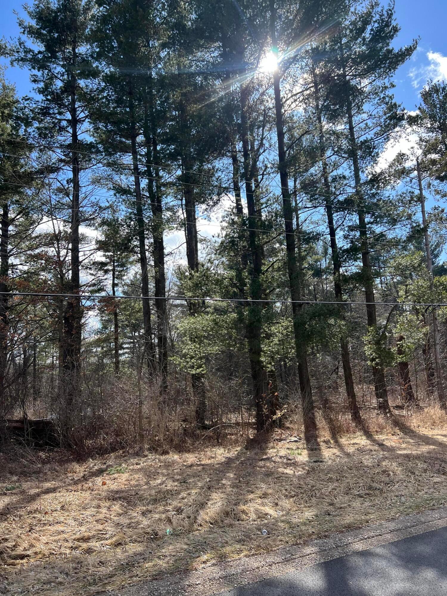 6288 County Road 25 #LOT 1, Cardington, Ohio image 1