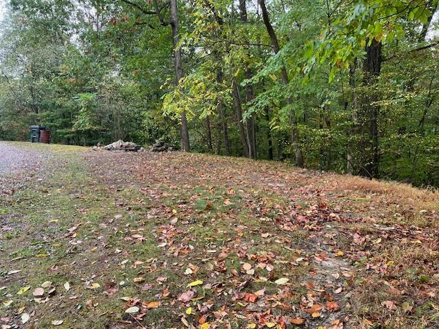 16832 Township Road 287, Conesville, Ohio image 14