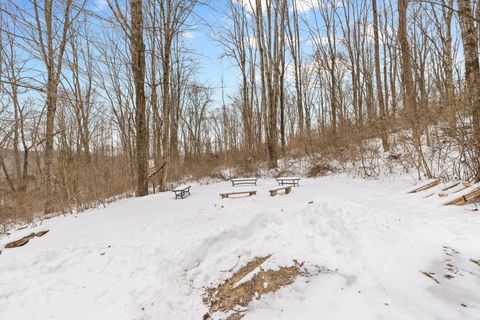 Tiny photo for 12893 Maysville Williams Road, Logan, OH 43138 (MLS # 226002948)