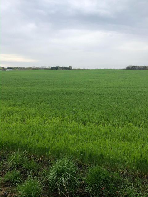 Photo of 13556 Rosewood Road NE, Thornville, OH 43076 (MLS # 225043578)