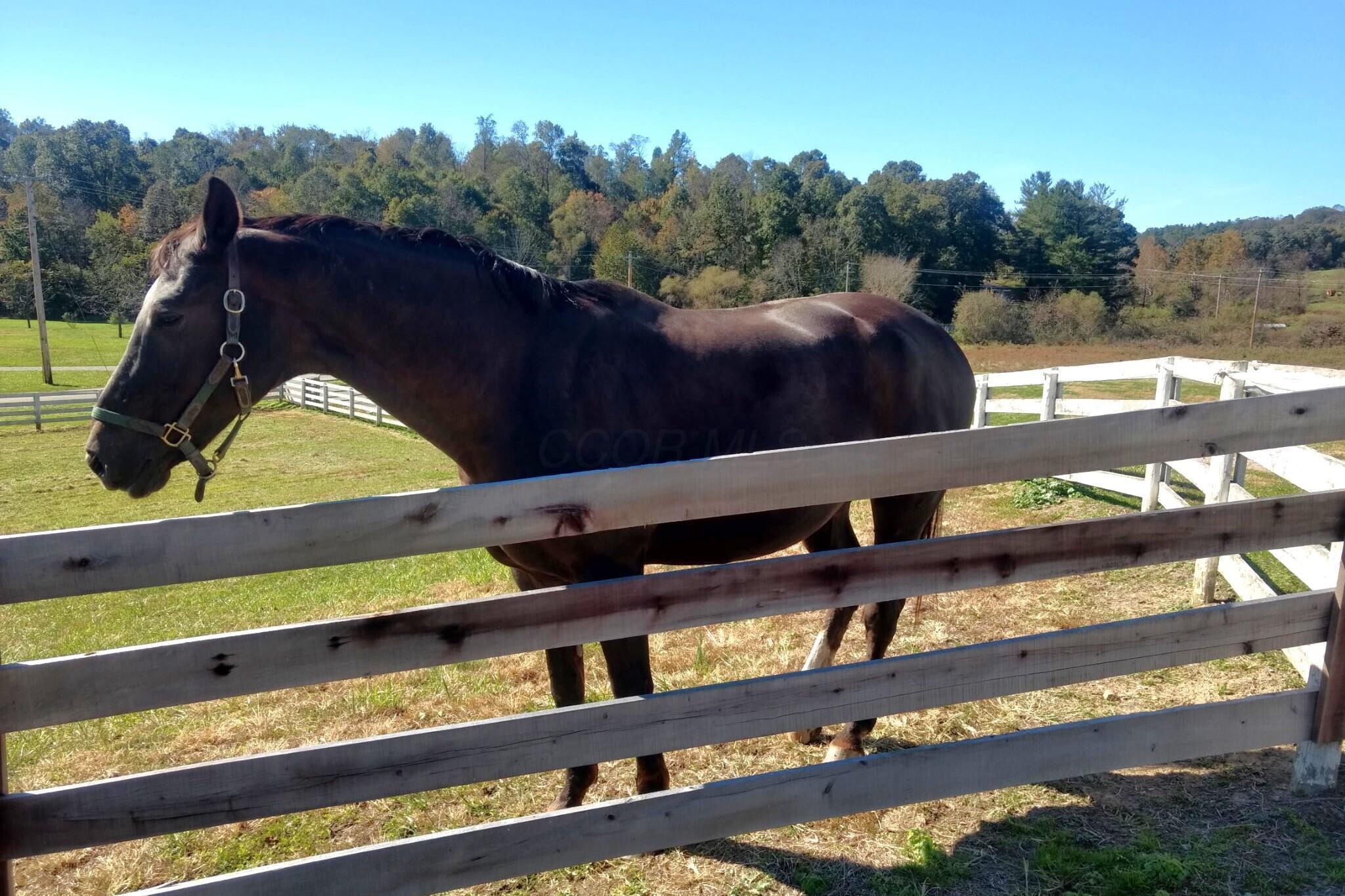 McArthur, Ohio 45651, United States, 2 Bedrooms Bedrooms, ,2 BathroomsBathrooms,Residential,Active,101688